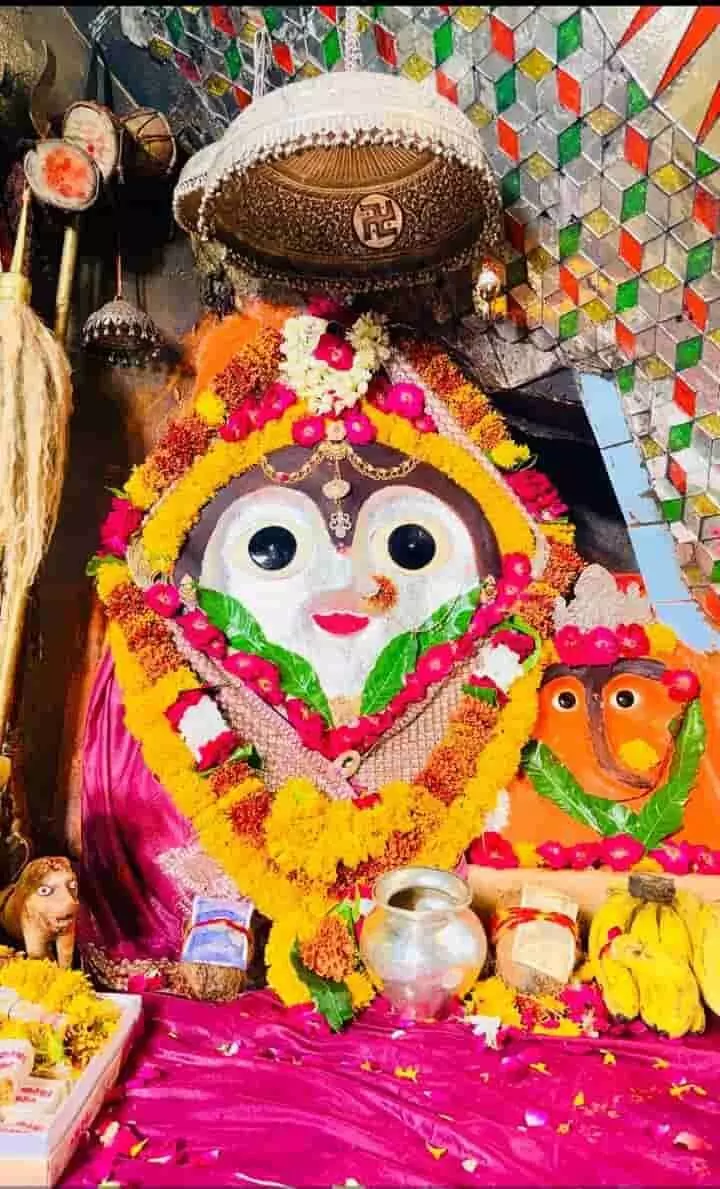 तस्वीर में इंदरगढ़ माता की सुंदर मूर्ति फूलों से सजी हुई दिखाई दे रही है। तस्वीर में इंदरगढ़ माता की सुंदर मूर्ति फूलों से सजी हुई दिखाई दे रही है।