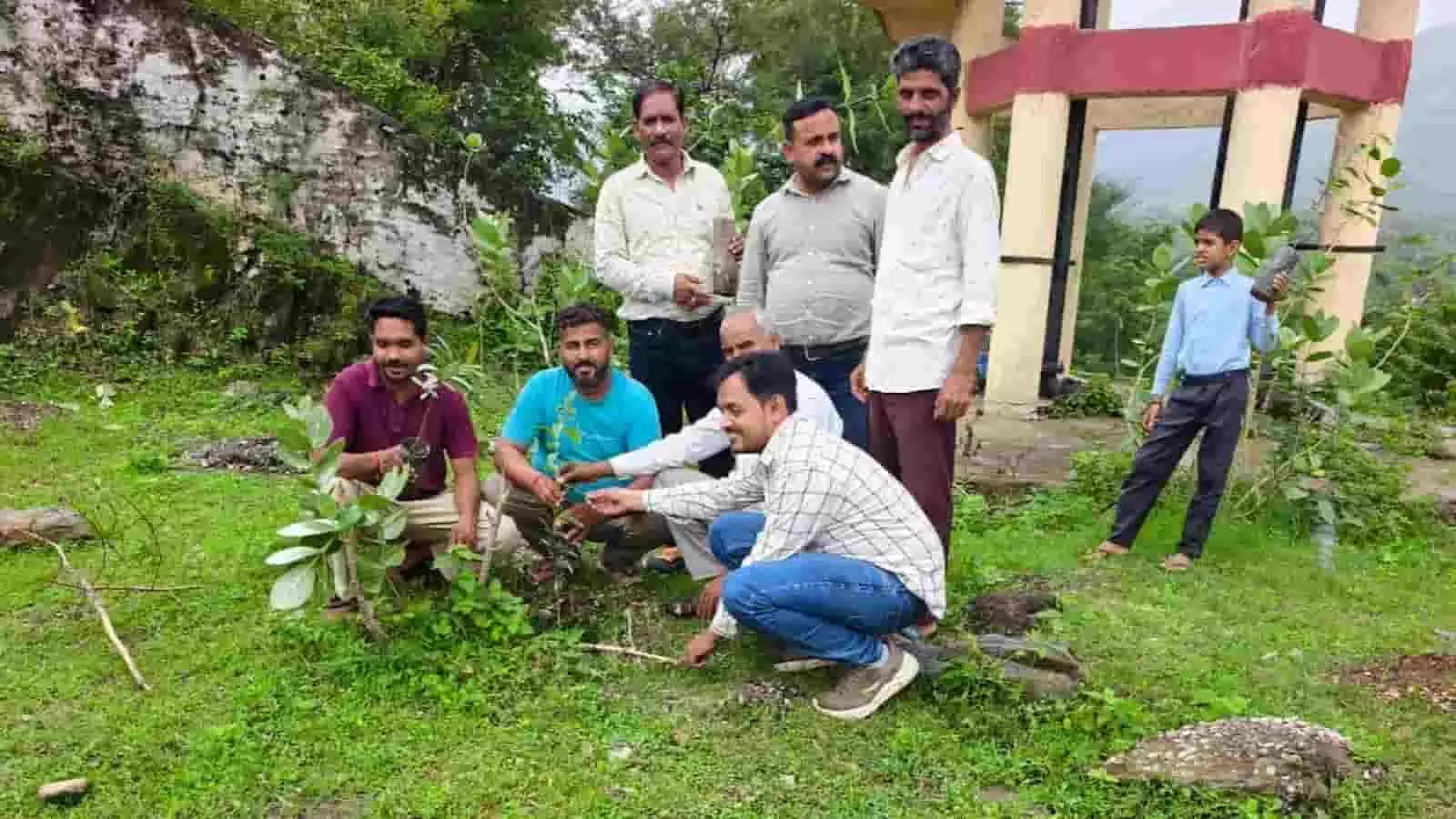 तस्वीर में सुराणा विद्यालय परिसर में लोग पौधे लगाते हुए नजर आ रहे हैं। तस्वीर में सुराणा विद्यालय परिसर में लोग पौधे लगाते हुए नजर आ रहे हैं।