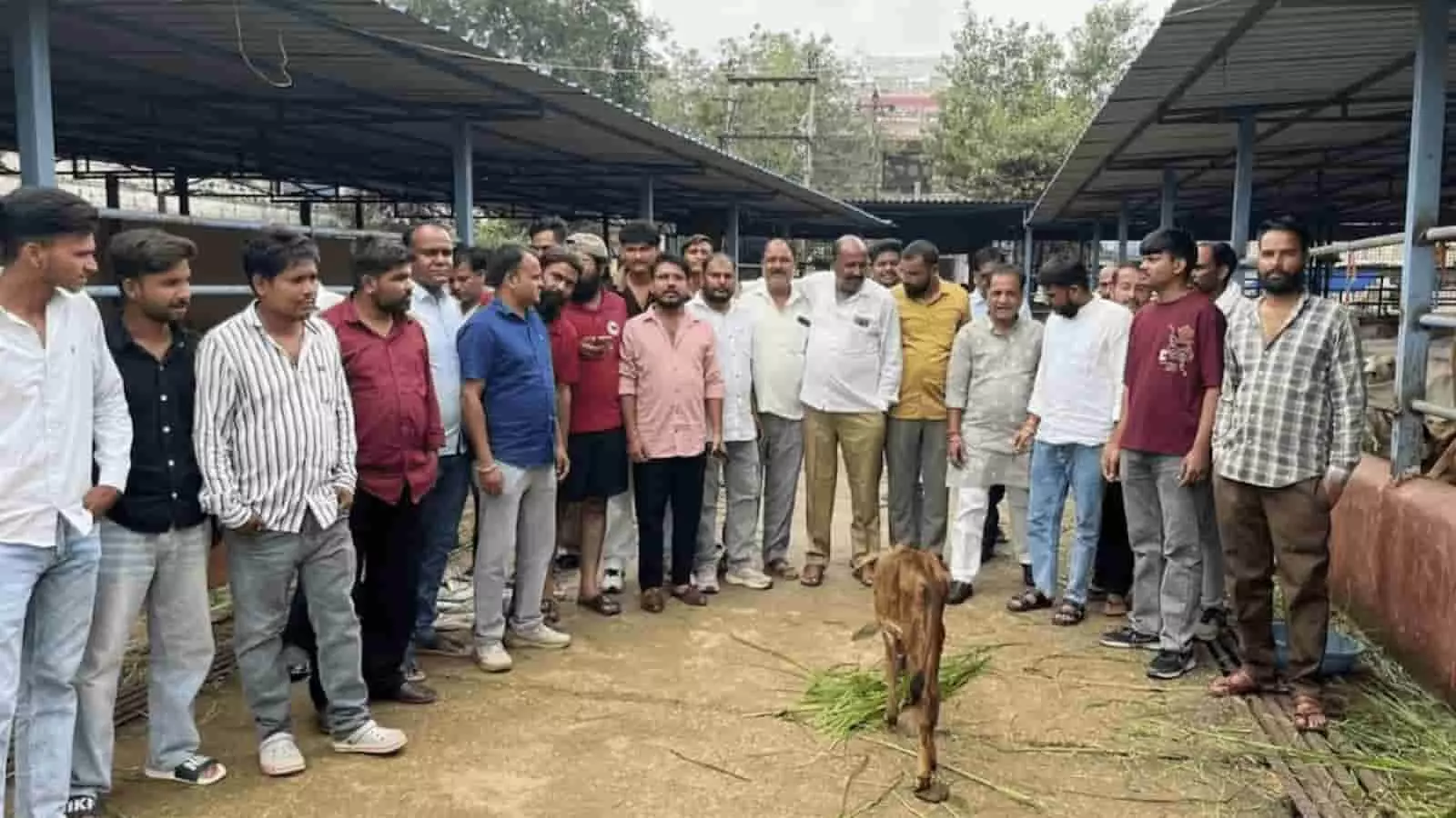 तस्वीर में युवा नेता रविकांत मीणा और उनके समर्थक बारां की गौशाला में गौसेवा करते दिख रहे हैं। तस्वीर में युवा नेता रविकांत मीणा और उनके समर्थक बारां की गौशाला में गौसेवा करते दिख रहे हैं।