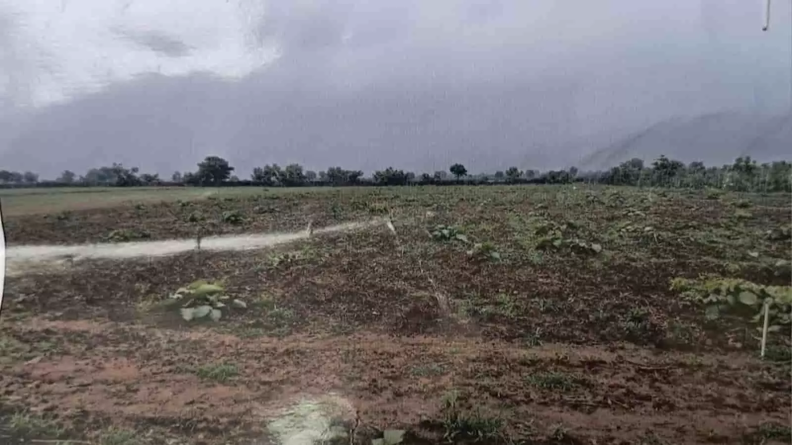 तस्वीर में खल्दी गांव की खाली वन भूमि और खेत का दृश्य दिखाई दे रहा है। तस्वीर में खल्दी गांव की खाली वन भूमि और खेत का दृश्य दिखाई दे रहा है।