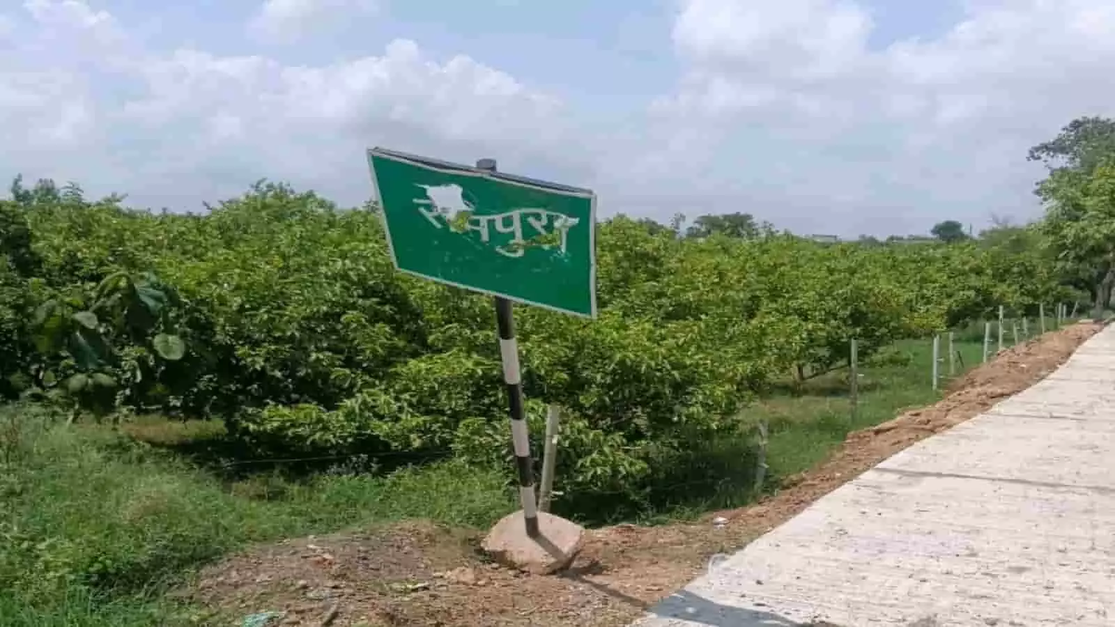 तस्वीर में सड़क किनारे लगा क्षतिग्रस्त संकेतक बोर्ड दिखाई दे रहा है। तस्वीर में सड़क किनारे लगा क्षतिग्रस्त संकेतक बोर्ड दिखाई दे रहा है।