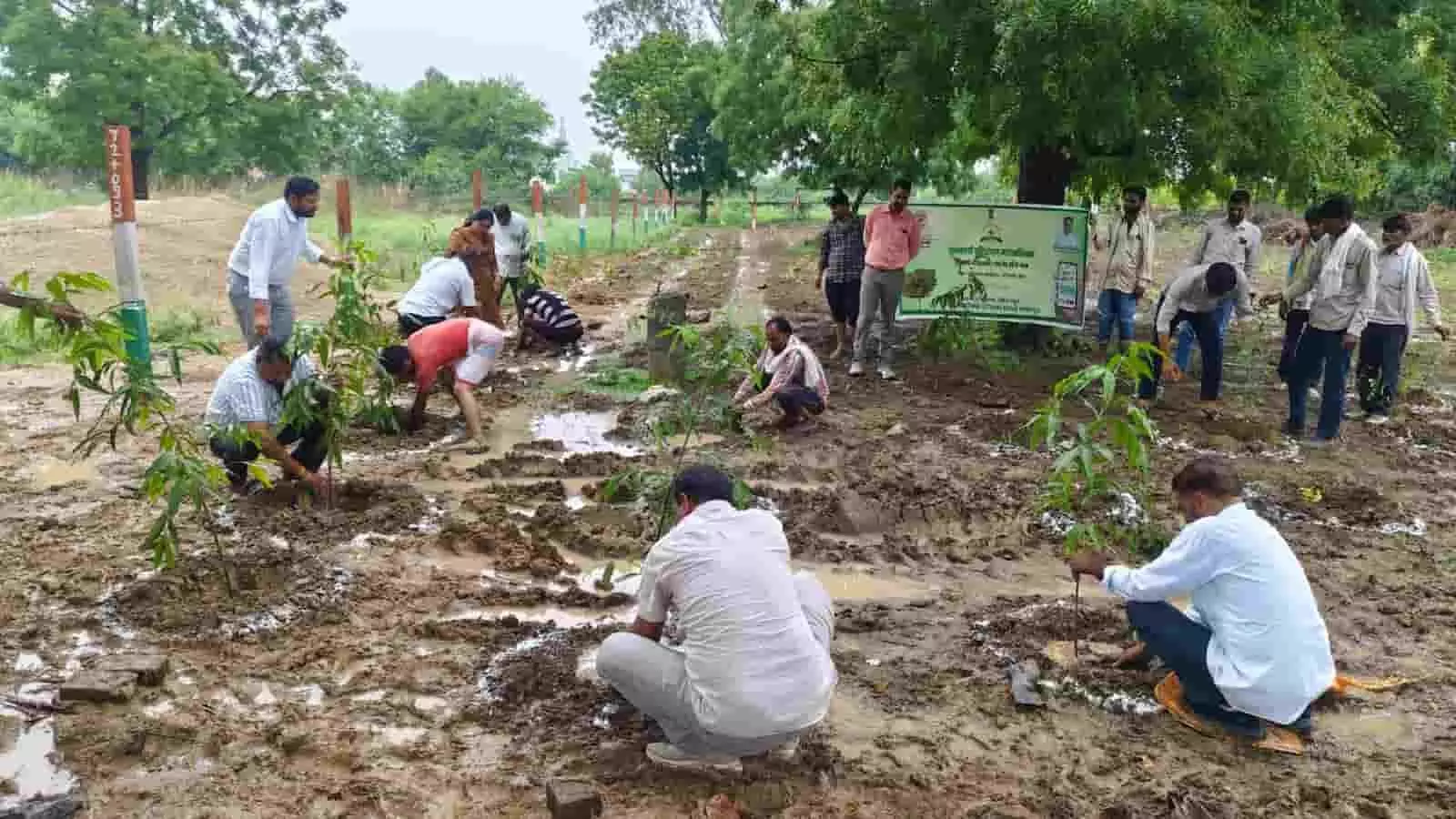 तस्वीर में ग्रामीण और अधिकारी सवाई माधोपुर में पौधारोपण करते दिख रहे हैं। तस्वीर में ग्रामीण और अधिकारी सवाई माधोपुर में पौधारोपण करते दिख रहे हैं।