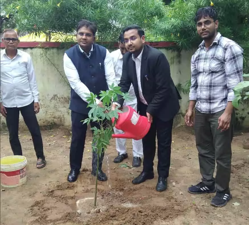 भुसावर न्यायालय परिसर में पौधरोपण करते हुए न्यायाधीश नवीन किलानिया और अन्य लोग नजर आ रहे हैं। भुसावर न्यायालय परिसर में पौधरोपण करते हुए न्यायाधीश नवीन किलानिया और अन्य लोग नजर आ रहे हैं।