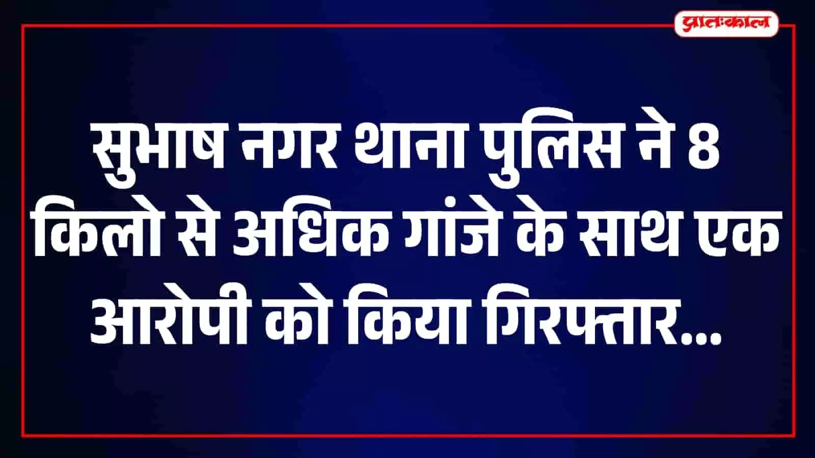 भीलवाड़ा के सुभाष नगर थाने में पुलिस अधिकारियों द्वारा जब्त किए गए अवैध गांजे का प्रदर्शन। भीलवाड़ा के सुभाष नगर थाने में पुलिस अधिकारियों द्वारा जब्त किए गए अवैध गांजे का प्रदर्शन।