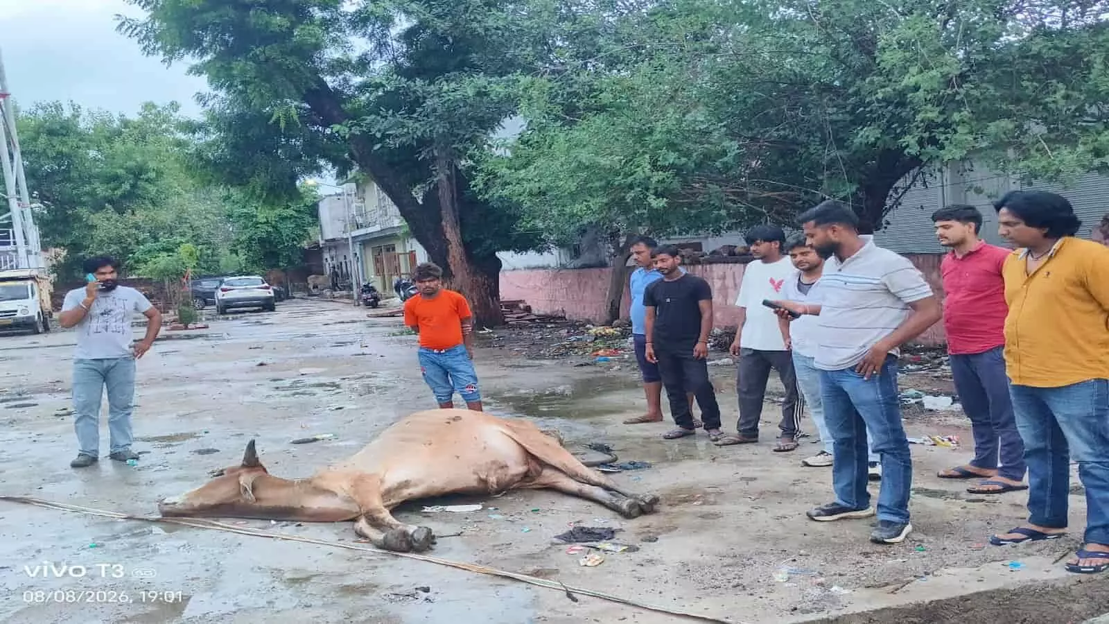 बयाना रेलवे स्टेशन के यार्ड में मृत नंदी का शव खुले में पड़े रहने पर नाराजगी जताते स्थानीय लोग। बयाना रेलवे स्टेशन के यार्ड में मृत नंदी का शव खुले में पड़े रहने पर नाराजगी जताते स्थानीय लोग।
