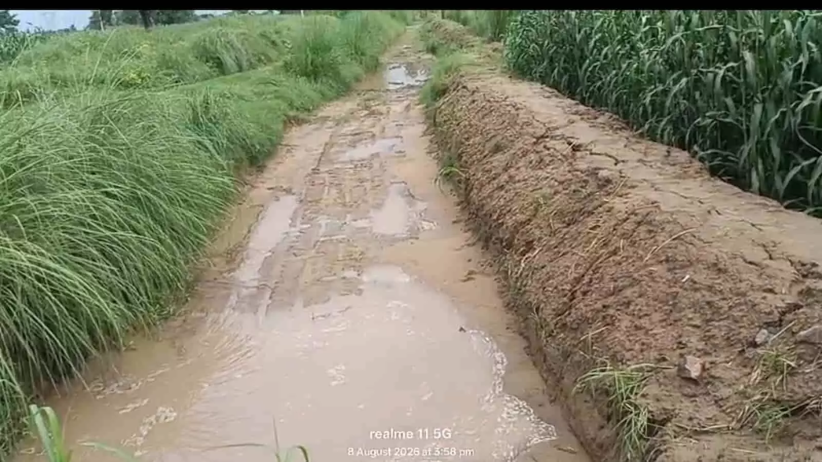 तस्वीर में भुसावर उपखंड के पथैना गांव में नारोली माइनर नहर और बदहाल कच्ची पटरी दिख रही है। तस्वीर में भुसावर उपखंड के पथैना गांव में नारोली माइनर नहर और बदहाल कच्ची पटरी दिख रही है।