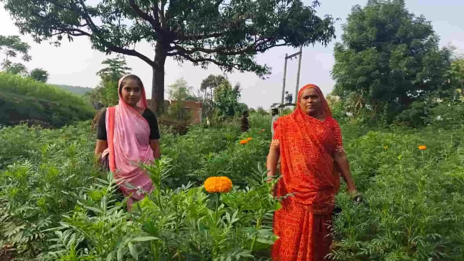 गेंदे के खेत में खड़ी महिला किसान सरला देवी और अन्य ग्रामीण। गेंदे के खेत में खड़ी महिला किसान सरला देवी और अन्य ग्रामीण।