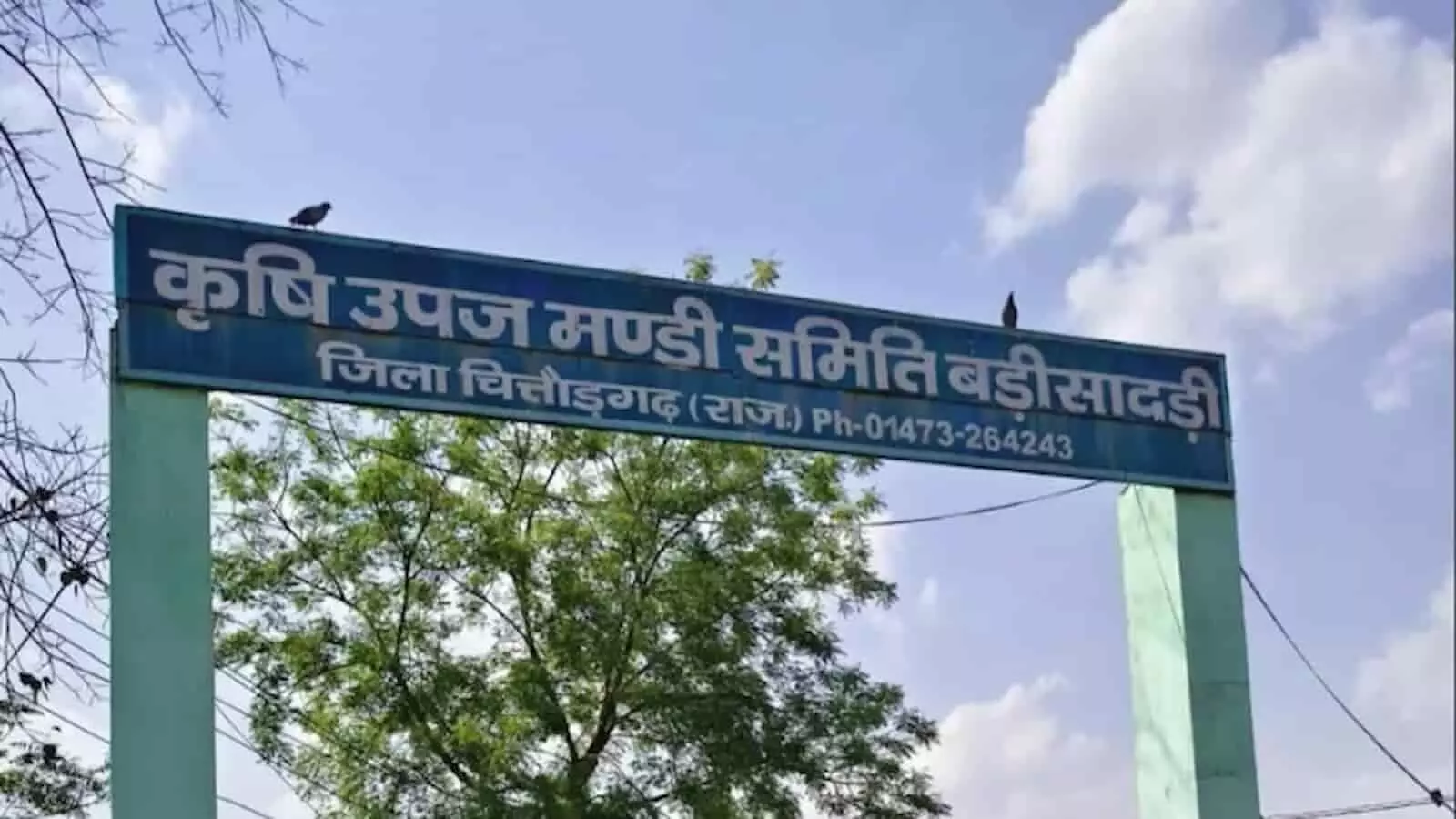 तस्वीर में बड़ी सादड़ी कृषि उपज मंडी समिति का मुख्य प्रवेश द्वार नजर आ रहा है। तस्वीर में बड़ी सादड़ी कृषि उपज मंडी समिति का मुख्य प्रवेश द्वार नजर आ रहा है।