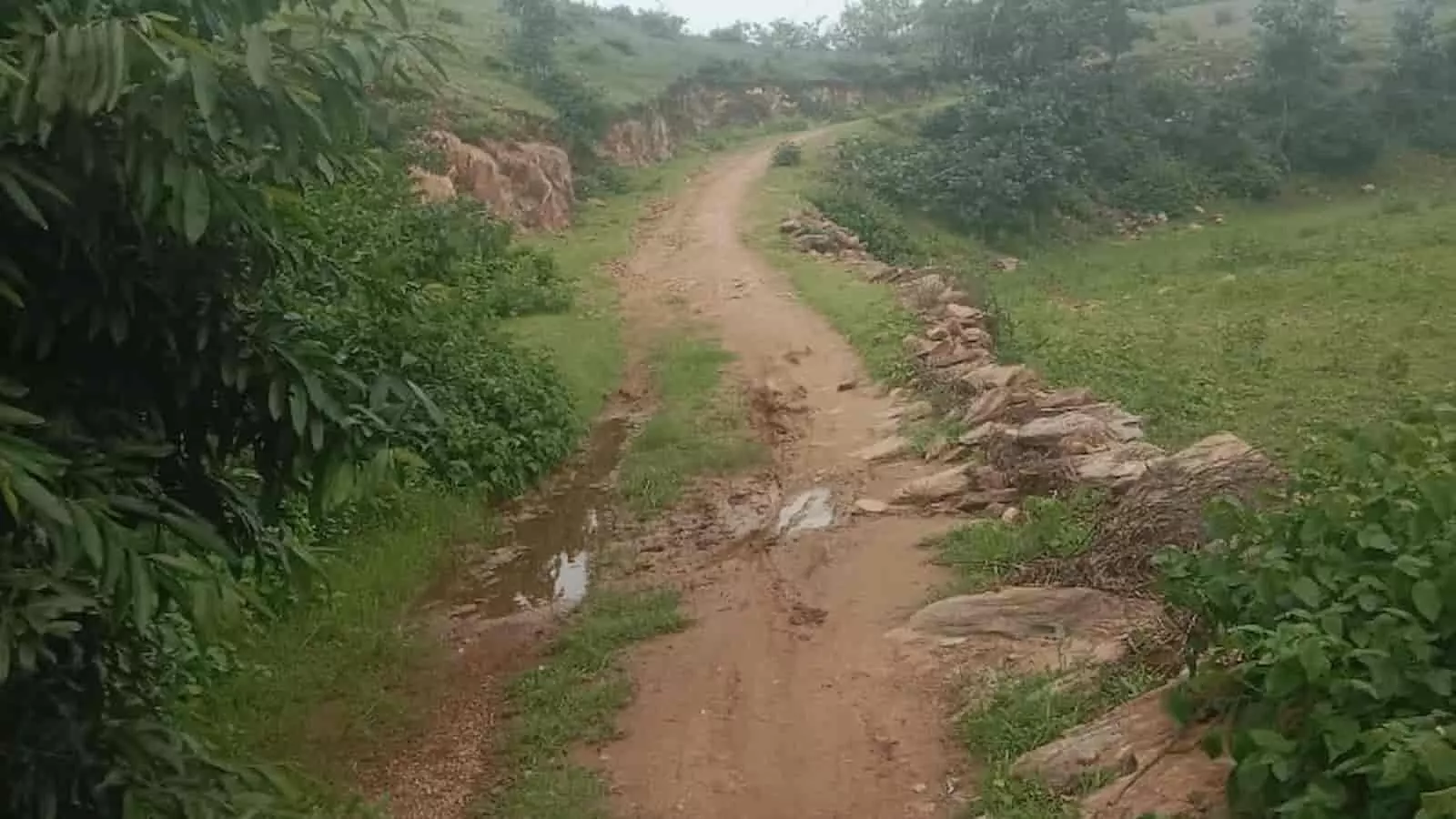 ग्राम पंचायत गुड़ा में जाजिया फला से श्मशान घाट तक जाने वाला टूटा-फूटा मार्ग। ग्राम पंचायत गुड़ा में जाजिया फला से श्मशान घाट तक जाने वाला टूटा-फूटा मार्ग।