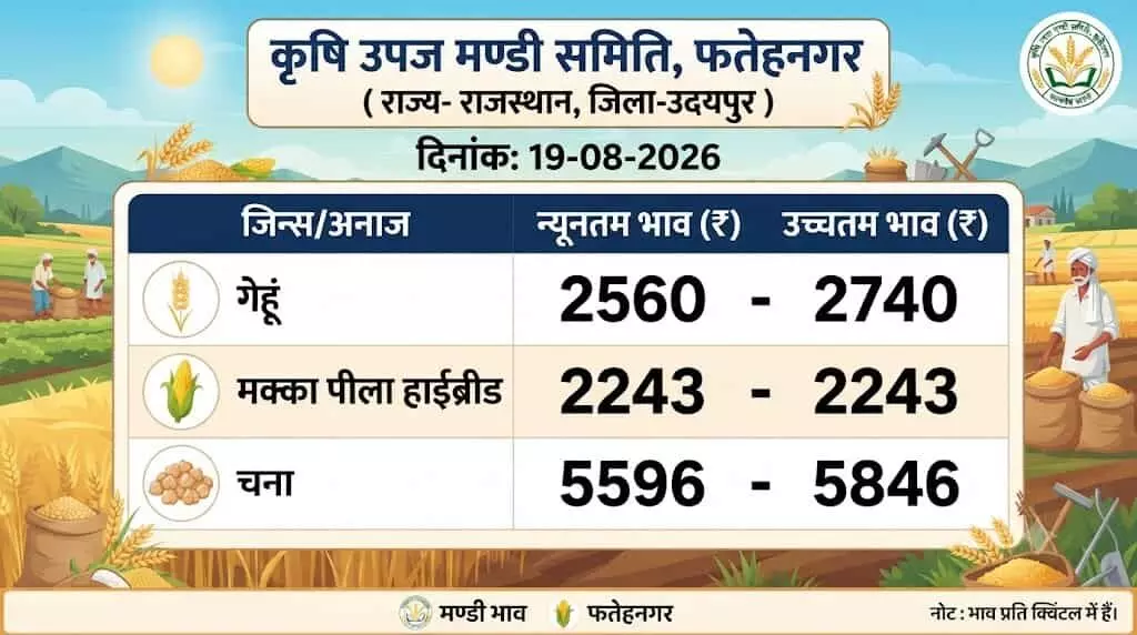 तस्वीर में फतहनगर कृषि उपज मंडी में फसलों के न्यूनतम और उच्चतम भाव दिख रहे हैं। तस्वीर में फतहनगर कृषि उपज मंडी में फसलों के न्यूनतम और उच्चतम भाव दिख रहे हैं।