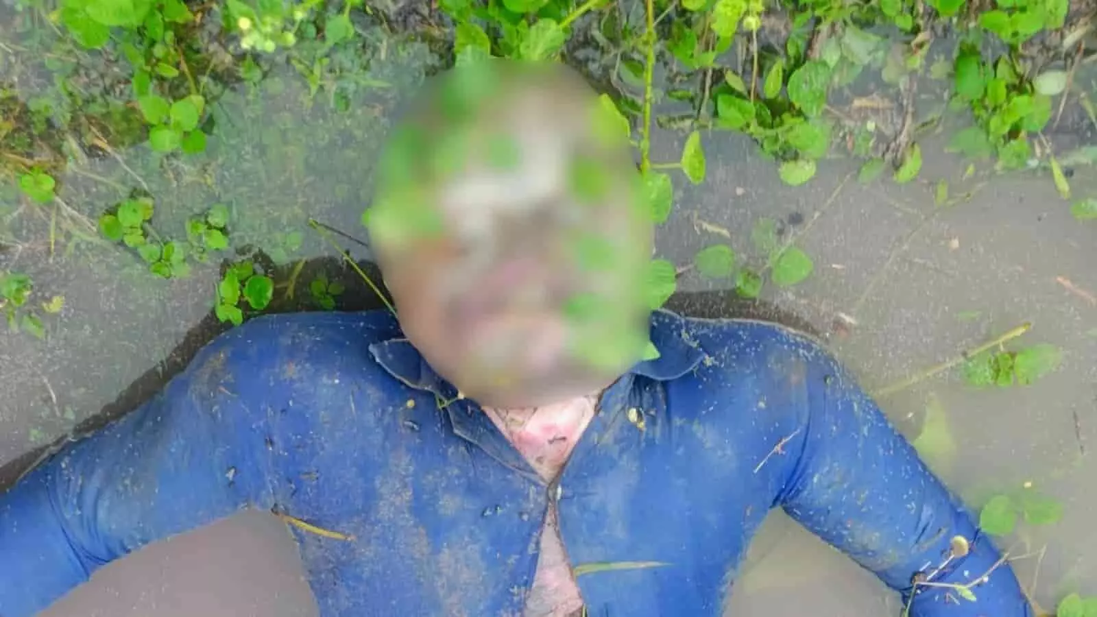 तस्वीर में कटनी के रीठी थाना क्षेत्र में पानी के बीच मिला अज्ञात युवक का शव दिख रहा है। तस्वीर में कटनी के रीठी थाना क्षेत्र में पानी के बीच मिला अज्ञात युवक का शव दिख रहा है।