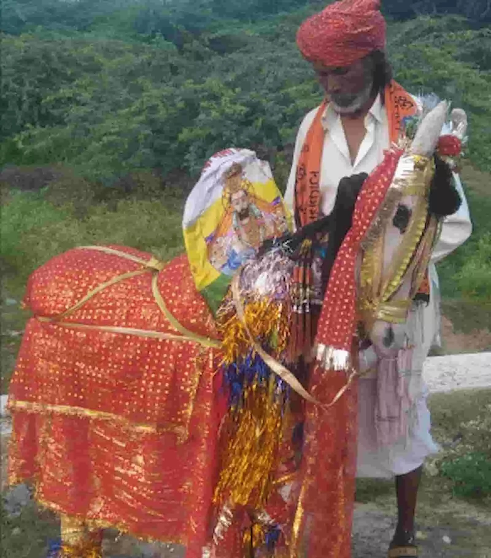 तस्वीर में सिर पर लाल पगड़ी और कंधे पर साफा पहने मोहन लाल माली रामदेव जी के सजाए गए काठ के घोड़े के साथ खड़े हैं। तस्वीर में सिर पर लाल पगड़ी और कंधे पर साफा पहने मोहन लाल माली रामदेव जी के सजाए गए काठ के घोड़े के साथ खड़े हैं।