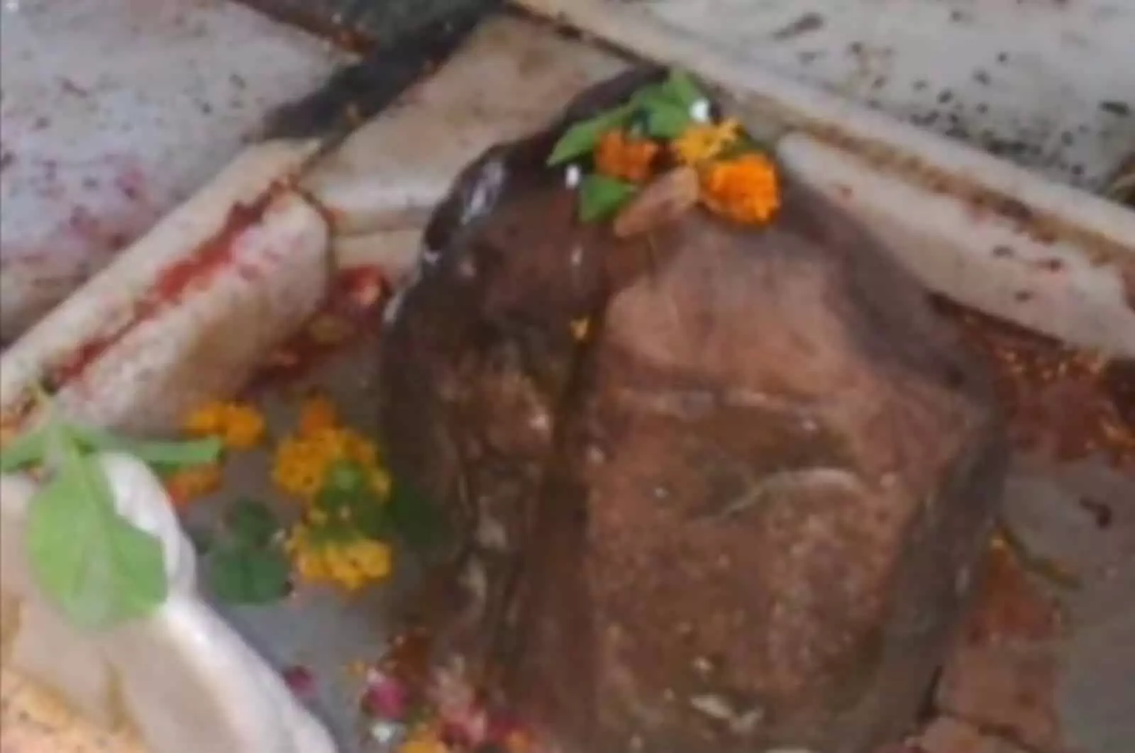 तस्वीर में डीग के मंदिर में शिवलिंग पर अर्पित किए गए फूल और बेलपत्र दिखाई दे रहे हैं। तस्वीर में डीग के मंदिर में शिवलिंग पर अर्पित किए गए फूल और बेलपत्र दिखाई दे रहे हैं।