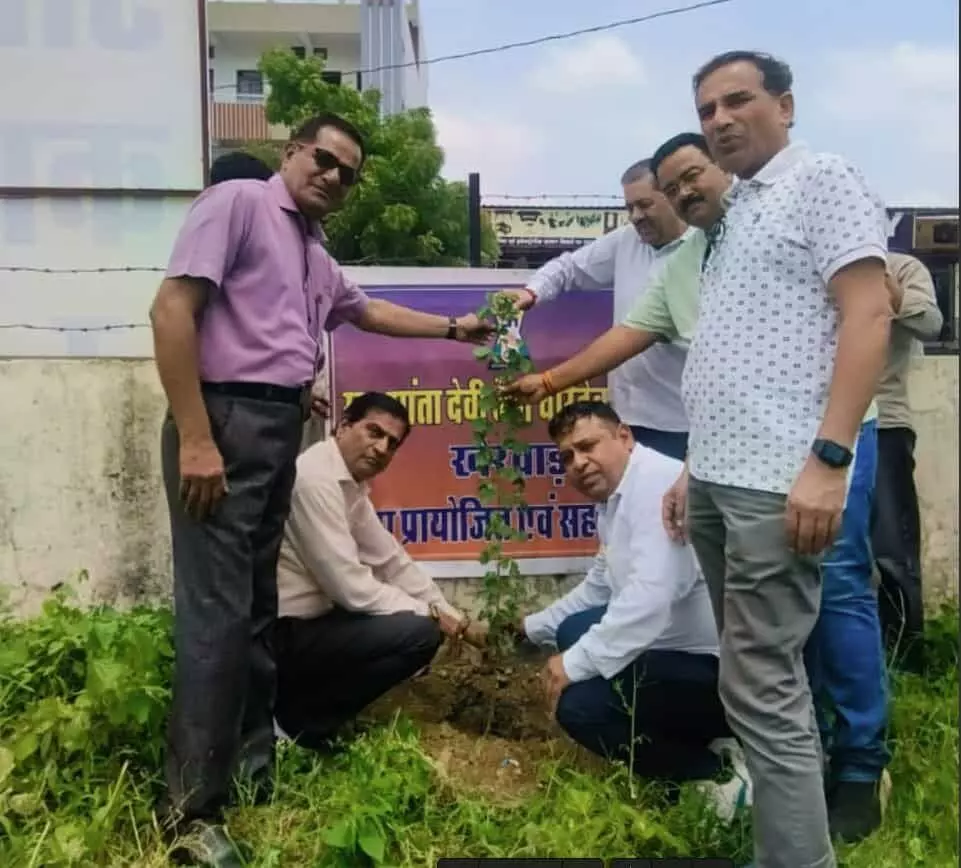तस्वीर में खेरवाड़ा के पटेल समाज छात्रावास परिसर में वृक्षारोपण करते ट्रस्ट सदस्य। तस्वीर में खेरवाड़ा के पटेल समाज छात्रावास परिसर में वृक्षारोपण करते ट्रस्ट सदस्य।