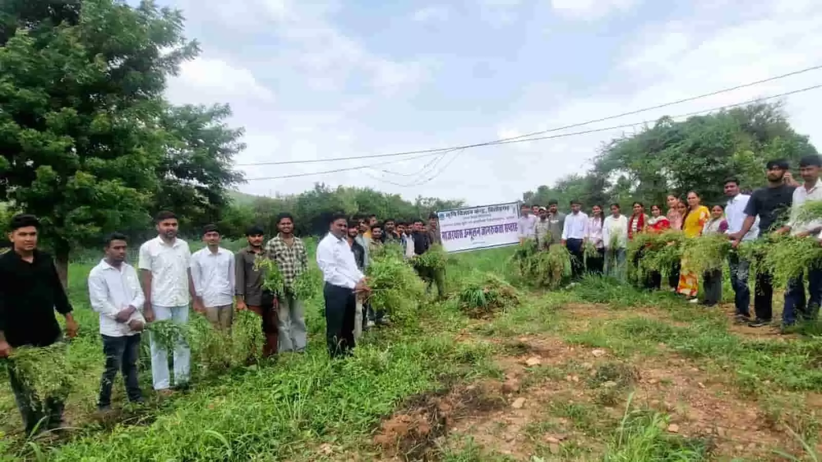 चित्तौड़गढ़ में कृषि विज्ञान केंद्र द्वारा गाजरघास उन्मूलन जागरूकता सप्ताह के तहत खेतों में गाजरघास पकड़े खड़े विद्यार्थी और किसान। चित्तौड़गढ़ में कृषि विज्ञान केंद्र द्वारा गाजरघास उन्मूलन जागरूकता सप्ताह के तहत खेतों में गाजरघास पकड़े खड़े विद्यार्थी और किसान।