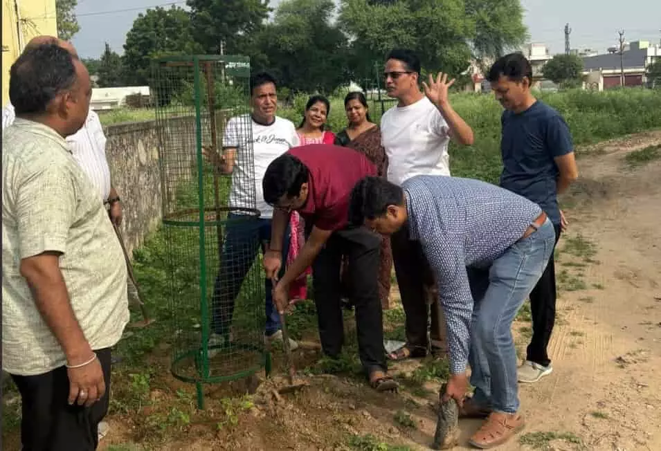 तस्वीर में भारत विकास परिषद मानटाउन शाखा के सदस्य ईएसआई कार्यालय परिसर में पौधे लगाते हुए दिख रहे हैं। तस्वीर में भारत विकास परिषद मानटाउन शाखा के सदस्य ईएसआई कार्यालय परिसर में पौधे लगाते हुए दिख रहे हैं।