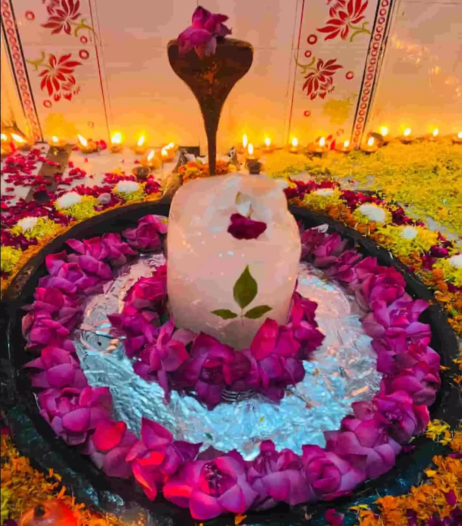 तस्वीर में कमलनाथ धाम मंदिर परिसर में बाबा बर्फानी अमरनाथ जी की 251 दीपमालाओं से होती भव्य आरती दिखाई दे रही है। तस्वीर में कमलनाथ धाम मंदिर परिसर में बाबा बर्फानी अमरनाथ जी की 251 दीपमालाओं से होती भव्य आरती दिखाई दे रही है।