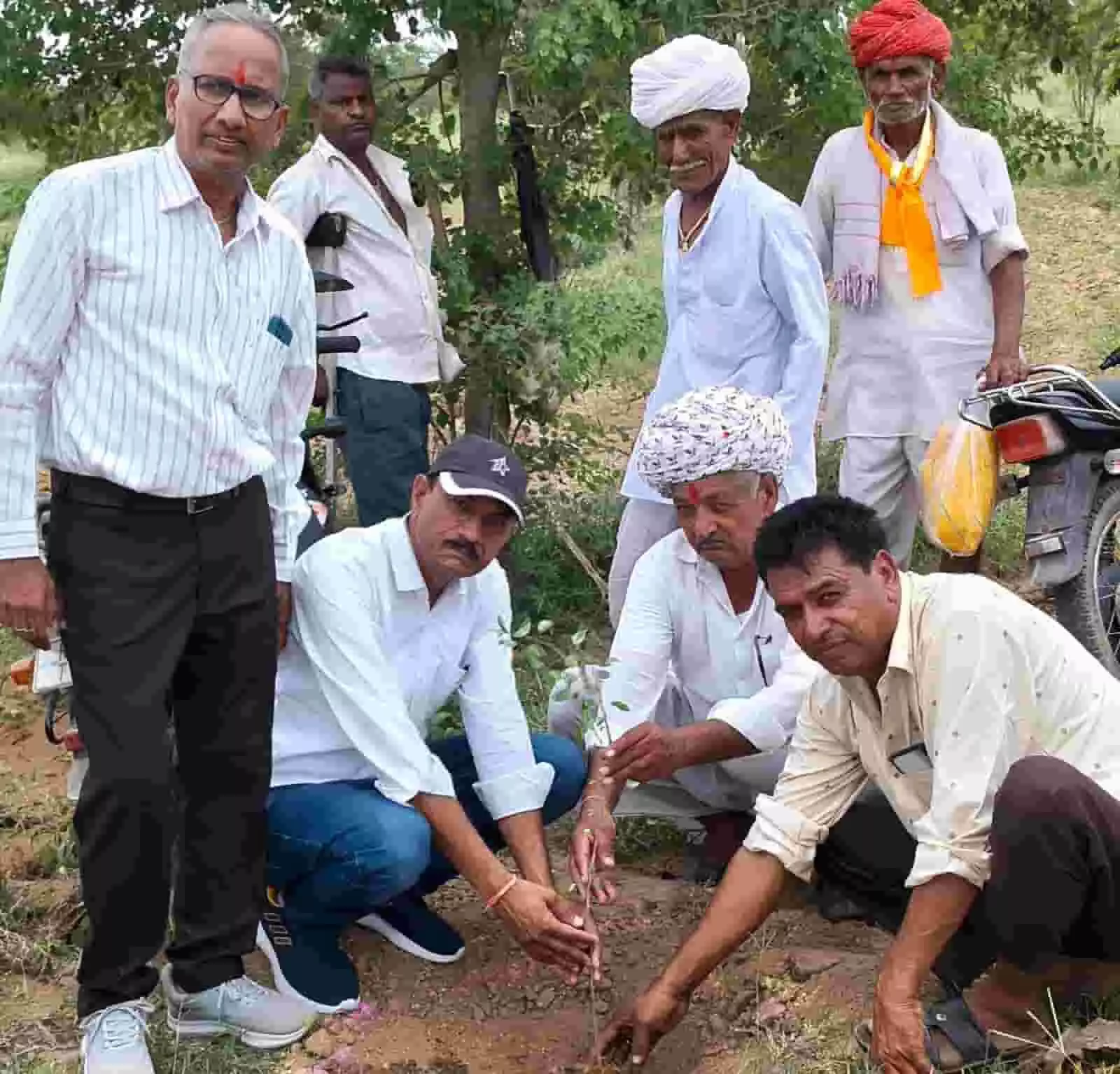 तस्वीर में आमेट के जिलोला चारागाह में जनप्रतिनिधि और ग्रामीण पौधारोपण करते दिख रहे हैं। तस्वीर में आमेट के जिलोला चारागाह में जनप्रतिनिधि और ग्रामीण पौधारोपण करते दिख रहे हैं।