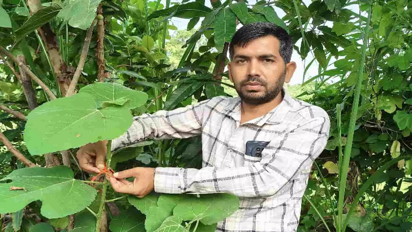तस्वीर में राजेश पुष्करना पौधों को रक्षासूत्र बांधते हुए नजर आ रहे हैं। तस्वीर में राजेश पुष्करना पौधों को रक्षासूत्र बांधते हुए नजर आ रहे हैं।