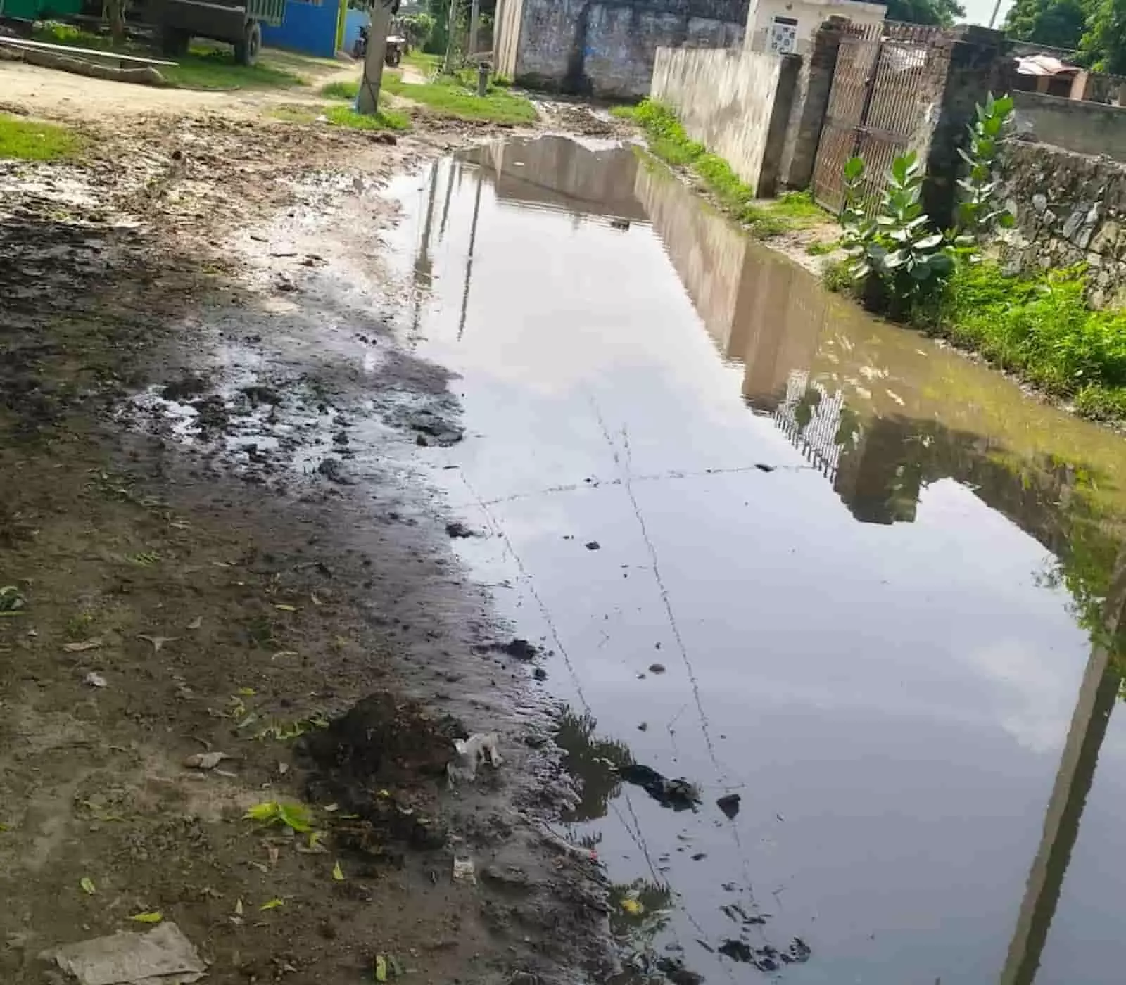 तस्वीर में दुब्बी बिदरखा गांव के रास्ते पर भरा पानी और फैली कीचड़ दिख रही है। तस्वीर में दुब्बी बिदरखा गांव के रास्ते पर भरा पानी और फैली कीचड़ दिख रही है।