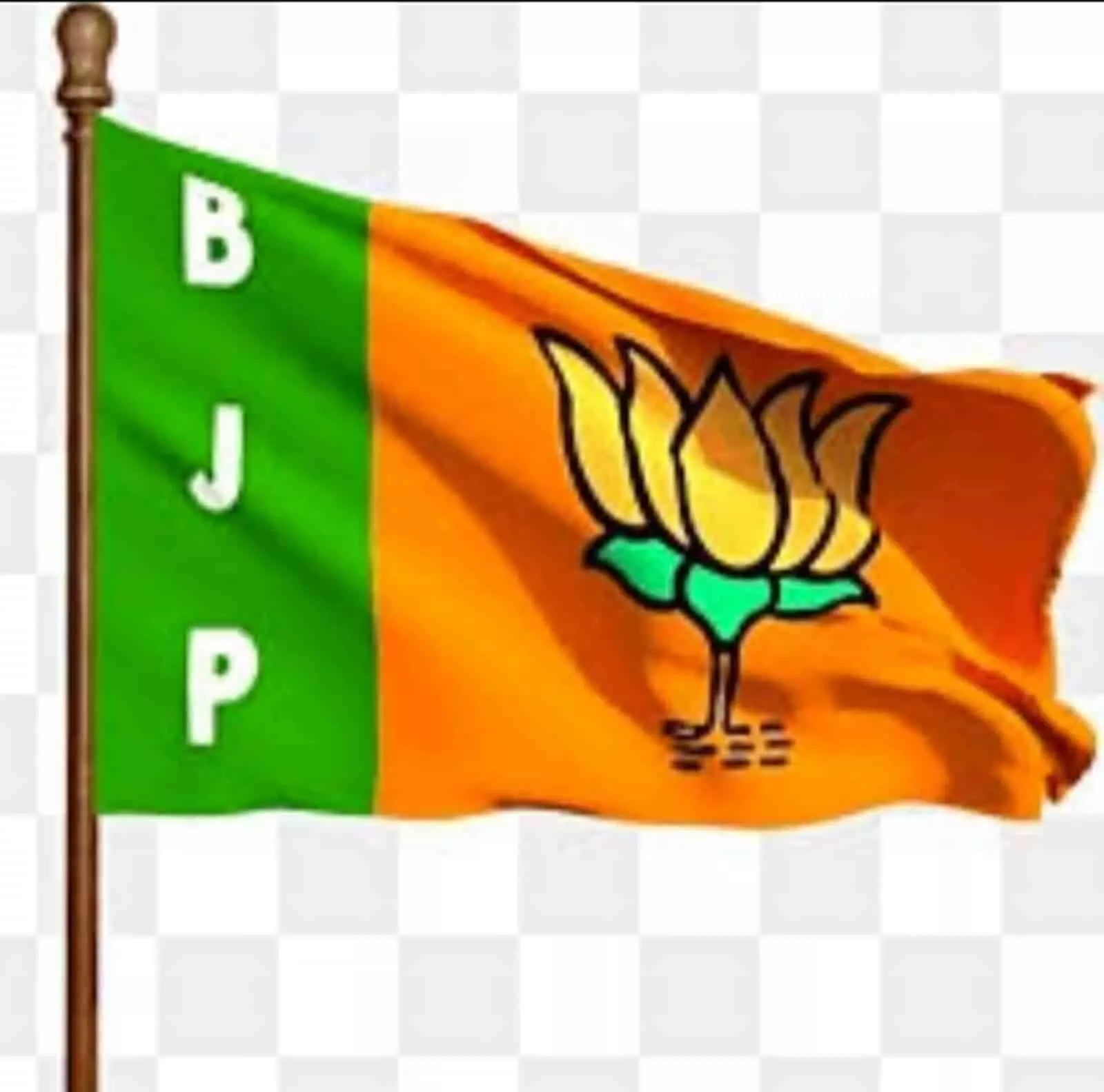 तस्वीर में पोल पर लहराता हुआ भारतीय जनता पार्टी का झंडा दिख रहा है। तस्वीर में पोल पर लहराता हुआ भारतीय जनता पार्टी का झंडा दिख रहा है।
