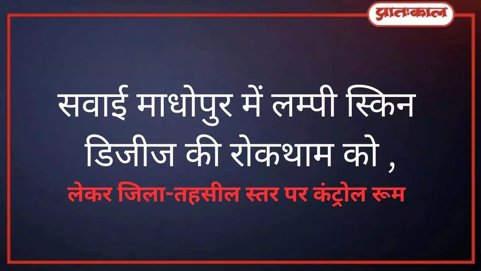 सवाई माधोपुर में लम्पी रोग से बचाव के लिए बने कंट्रोल रूम, देखें हेल्पलाइन नंबर सवाई माधोपुर में लम्पी रोग से बचाव के लिए बने कंट्रोल रूम, देखें हेल्पलाइन नंबर