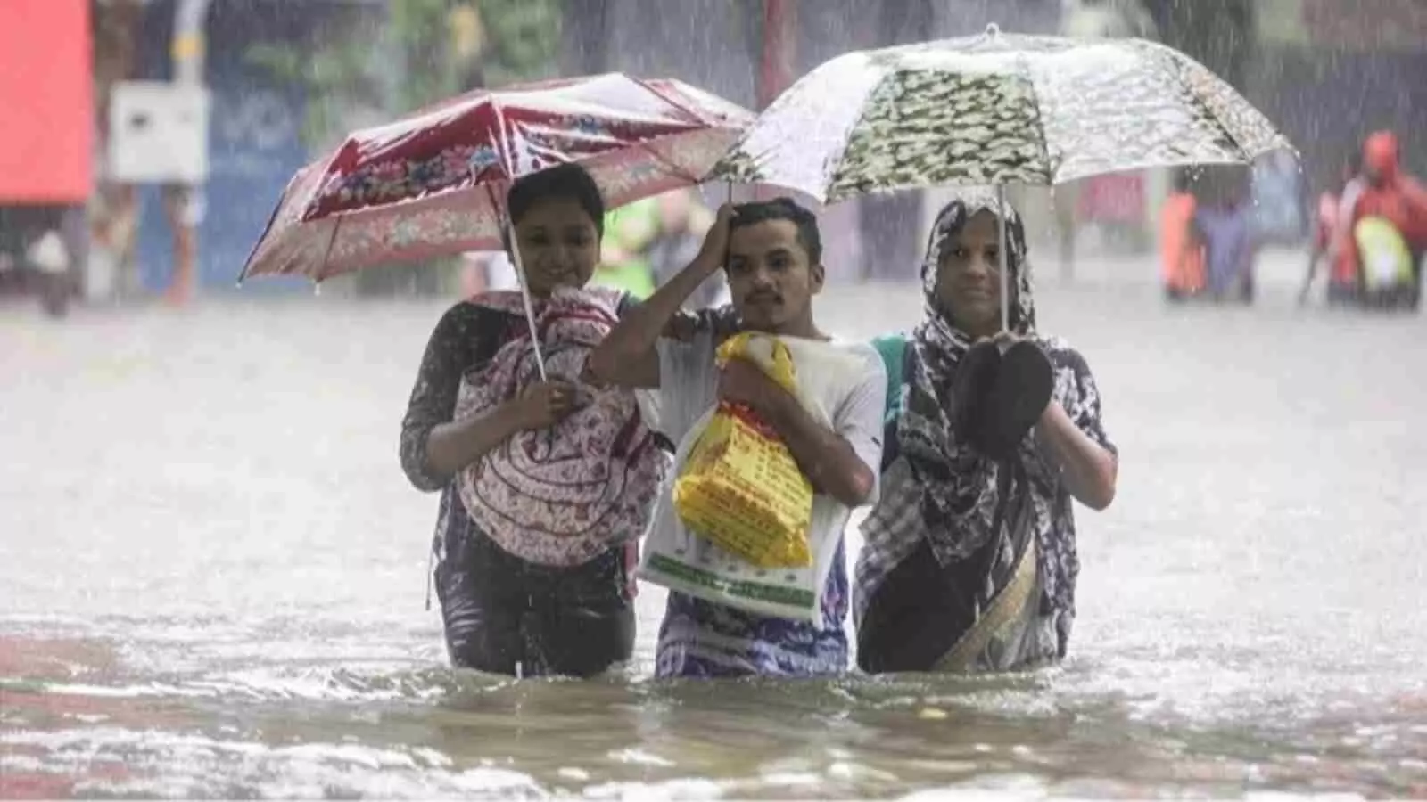 बारिश में छाता लिए लोग उत्तर भारत में मौसम अपडेट के संदर्भ में सड़कों पर चल रहे हैं। बारिश में छाता लिए लोग उत्तर भारत में मौसम अपडेट के संदर्भ में सड़कों पर चल रहे हैं।