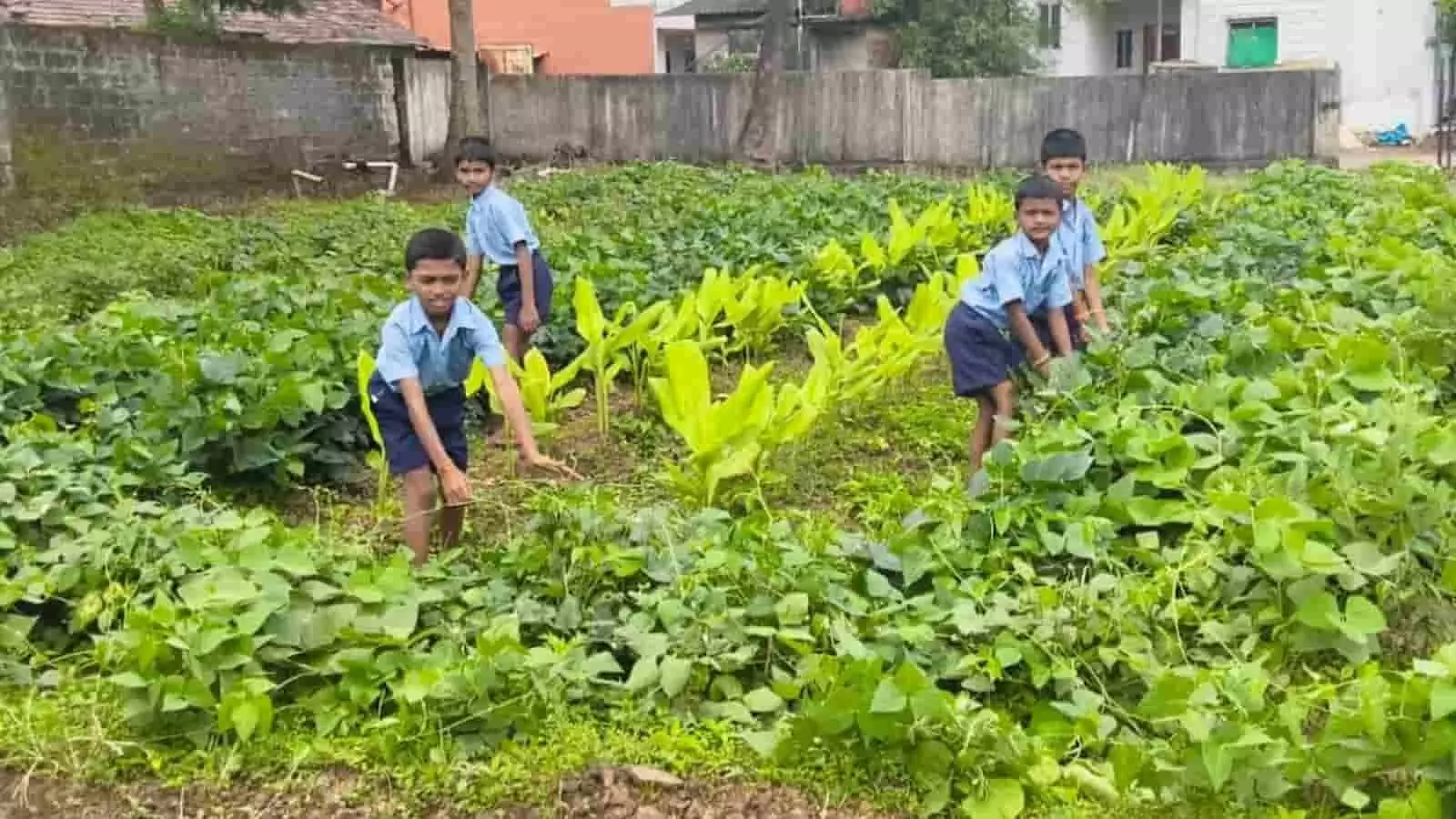 तस्वीर में चार स्कूली बच्चे स्कूल के मैदान में हरी-भरी परसबाग के बीच खड़े नजर आ रहे हैं। तस्वीर में चार स्कूली बच्चे स्कूल के मैदान में हरी-भरी परसबाग के बीच खड़े नजर आ रहे हैं।