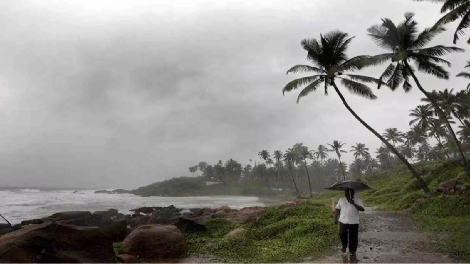 दक्षिण भारत में कमजोर मॉनसून और कम बारिश में तटीय रास्ते पर छाता लेकर चलता व्यक्ति | दक्षिण भारत में कमजोर मॉनसून और कम बारिश में तटीय रास्ते पर छाता लेकर चलता व्यक्ति |