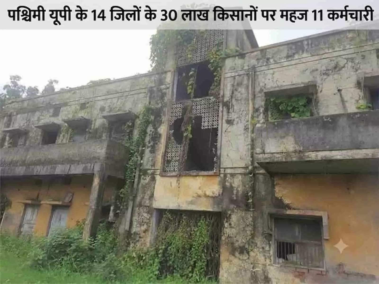 तस्वीर में दिख रही जर्जर इमारत मुजफ्फरनगर गन्ना शोध संस्थान की पुरानी दो मंजिला इमारत है। तस्वीर में दिख रही जर्जर इमारत मुजफ्फरनगर गन्ना शोध संस्थान की पुरानी दो मंजिला इमारत है।