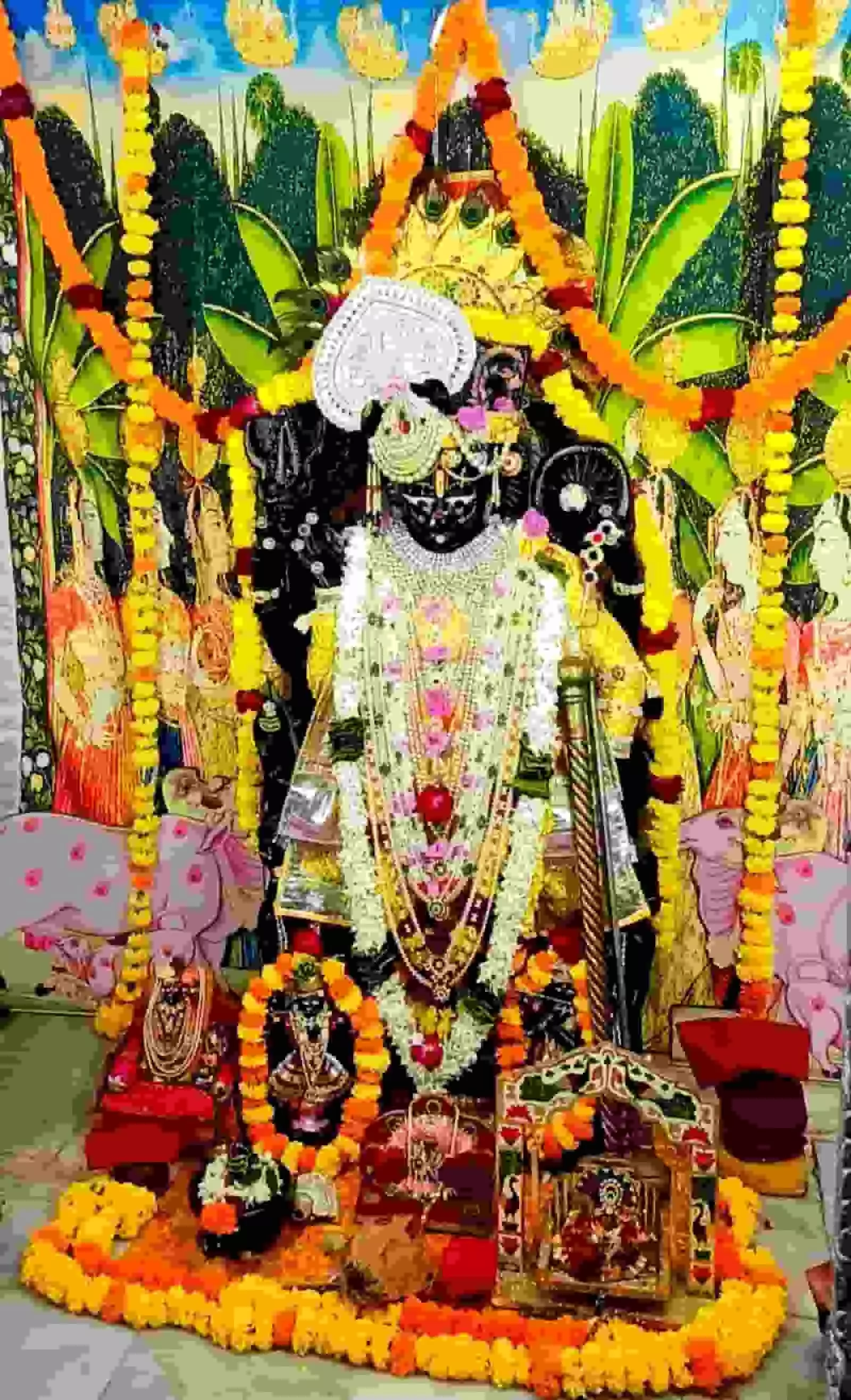तस्वीर में बदराणा के मंदिर में फूलों से सजी भगवान श्री कृष्ण की मूर्ति दिख रही है। तस्वीर में बदराणा के मंदिर में फूलों से सजी भगवान श्री कृष्ण की मूर्ति दिख रही है।