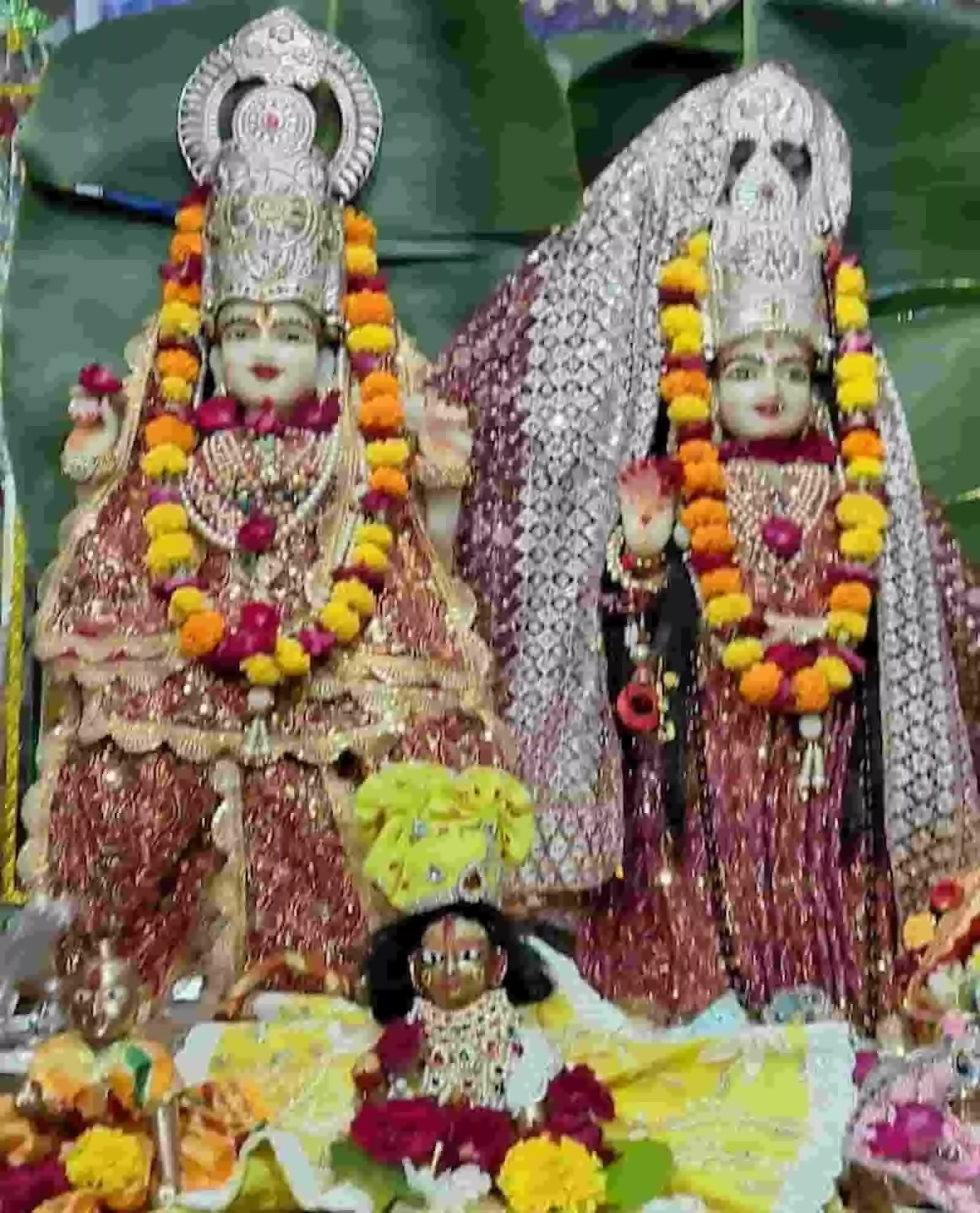 तस्वीर में चित्तौड़गढ़ के मंदिर में सजी भगवान श्री कृष्ण की मूर्तियां दिख रही हैं। तस्वीर में चित्तौड़गढ़ के मंदिर में सजी भगवान श्री कृष्ण की मूर्तियां दिख रही हैं।
