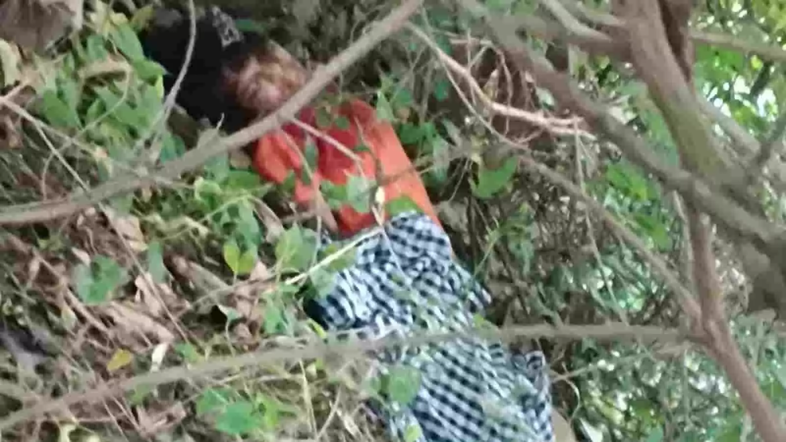 तस्वीर में अमरावती के चांदुर बाजार तहसील के खेत में झाड़ियों के बीच युवती का शव दिखाई दे रहा है। तस्वीर में अमरावती के चांदुर बाजार तहसील के खेत में झाड़ियों के बीच युवती का शव दिखाई दे रहा है।