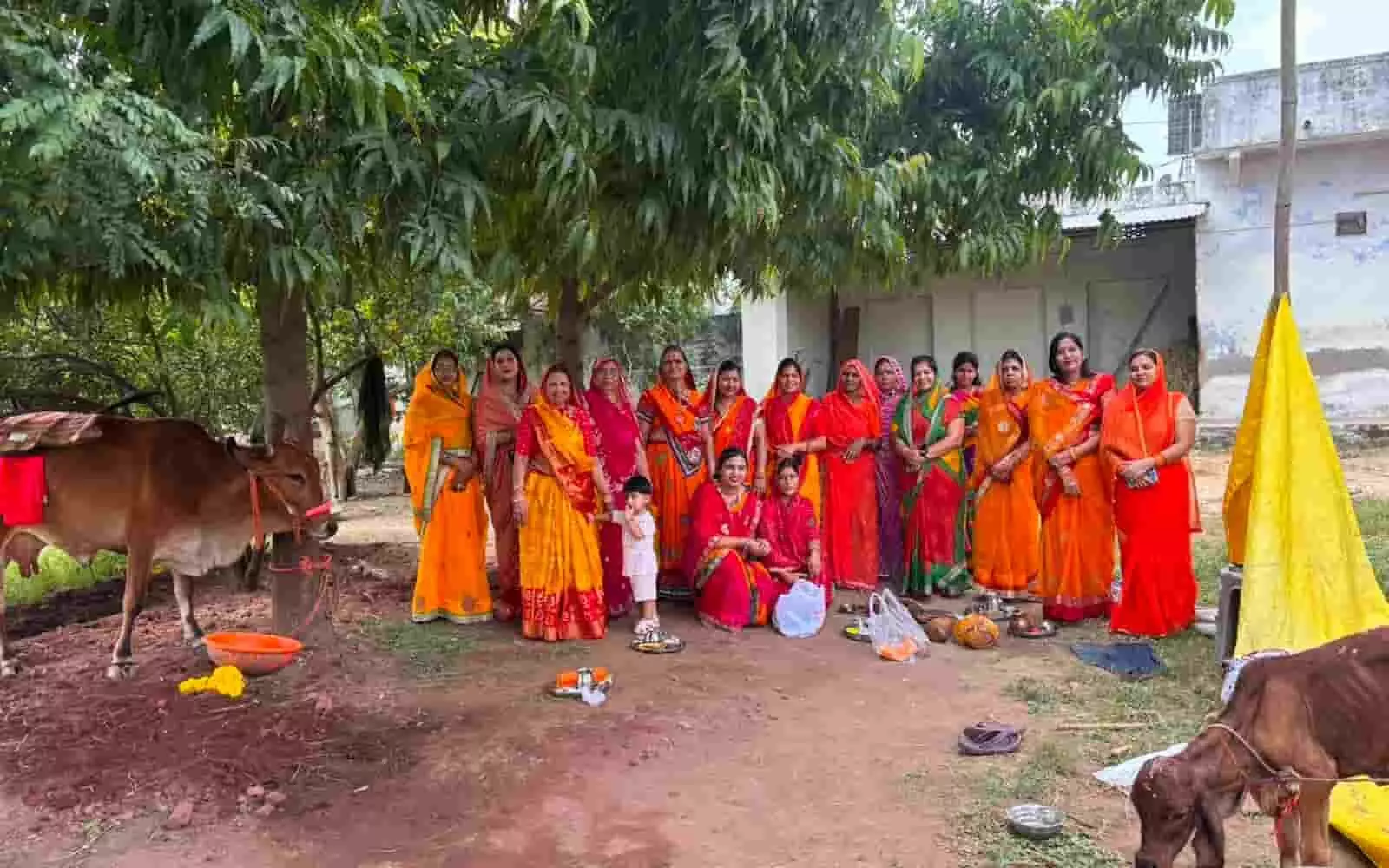 तस्वीर में पारंपरिक परिधान पहने महिलाएं गाय और बछड़े के पास खड़ी होकर पूजा-अर्चना कर रही हैं। तस्वीर में पारंपरिक परिधान पहने महिलाएं गाय और बछड़े के पास खड़ी होकर पूजा-अर्चना कर रही हैं।