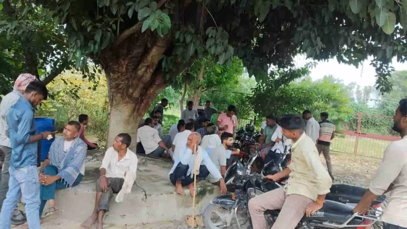 तस्वीर में जाफरपुर गांव के पुरुष बिजली उपकेंद्र के बाहर एक विशाल पेड़ के नीचे बैठे हैं। तस्वीर में जाफरपुर गांव के पुरुष बिजली उपकेंद्र के बाहर एक विशाल पेड़ के नीचे बैठे हैं।