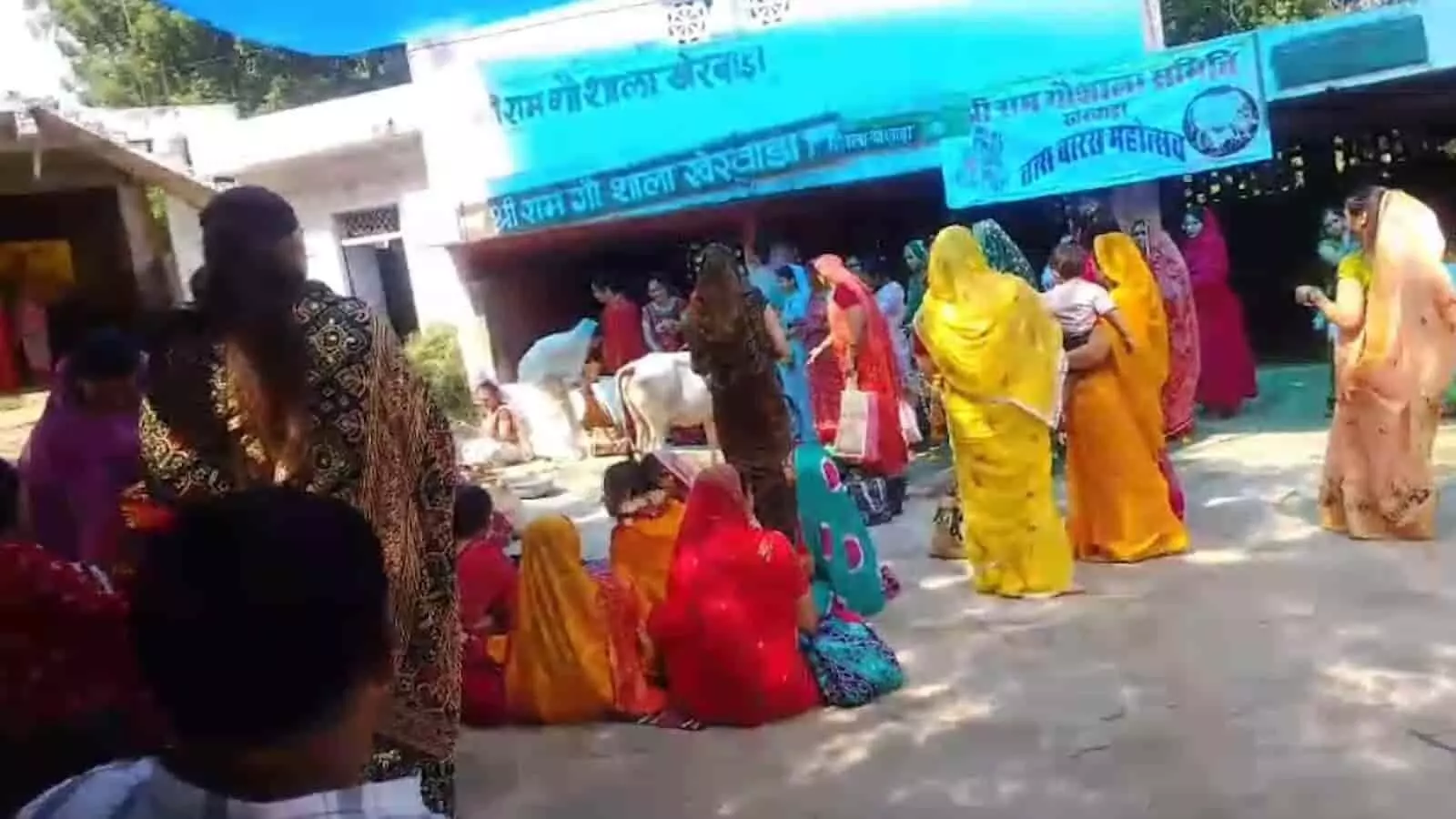 तस्वीर में पारंपरिक पोशाक पहने महिलाएं खेरवाड़ा गौशाला परिसर में बछ बारस की पूजा कर रही हैं। तस्वीर में पारंपरिक पोशाक पहने महिलाएं खेरवाड़ा गौशाला परिसर में बछ बारस की पूजा कर रही हैं।