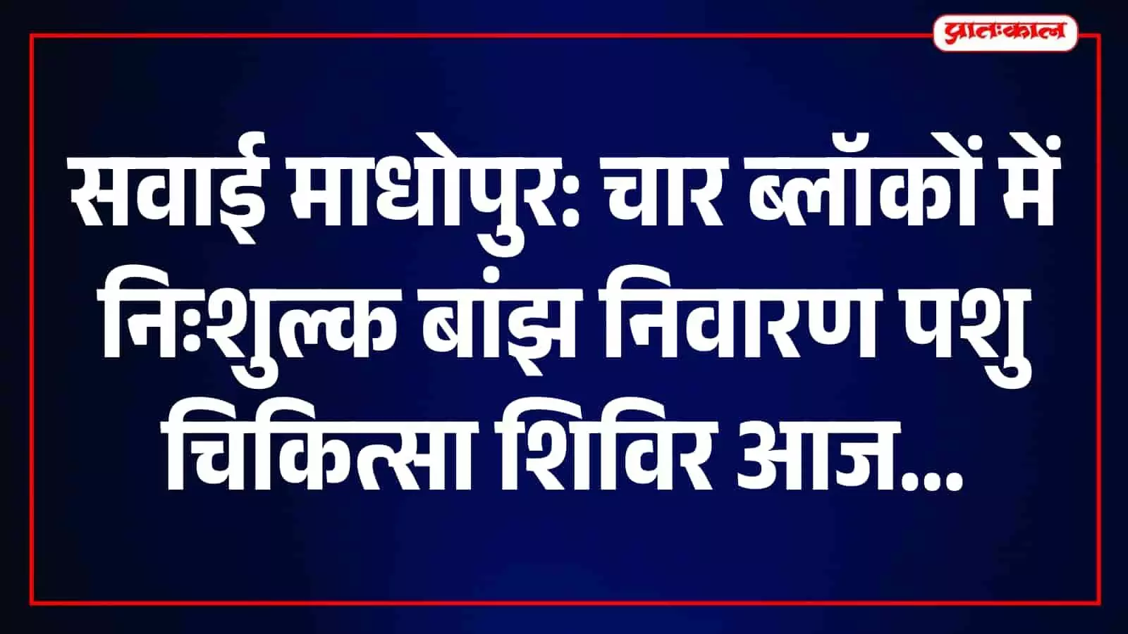 तस्वीर में पशु चिकित्सक सवाई माधोपुर के शिविर में पशुओं की जांच कर रहे हैं। तस्वीर में पशु चिकित्सक सवाई माधोपुर के शिविर में पशुओं की जांच कर रहे हैं।