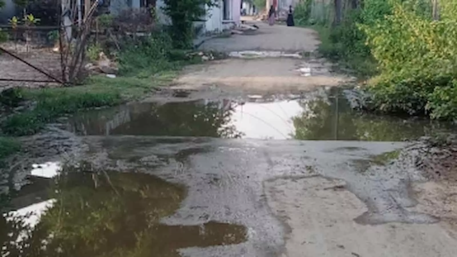 तस्वीर में पटोलिया के वार्ड नंबर 3 की मुख्य सड़क पर फैला गंदा पानी और कीचड़ दिखाई दे रहा है। तस्वीर में पटोलिया के वार्ड नंबर 3 की मुख्य सड़क पर फैला गंदा पानी और कीचड़ दिखाई दे रहा है।