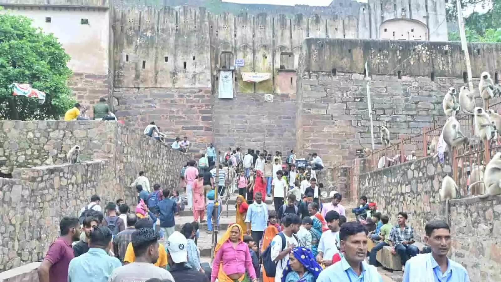 तस्वीर में रणथम्भौर दुर्ग की प्राचीन पत्थर की दीवारों के सामने रास्तों पर चलते हुए श्रद्धालु और बंदर नजर आ रहे हैं। तस्वीर में रणथम्भौर दुर्ग की प्राचीन पत्थर की दीवारों के सामने रास्तों पर चलते हुए श्रद्धालु और बंदर नजर आ रहे हैं।