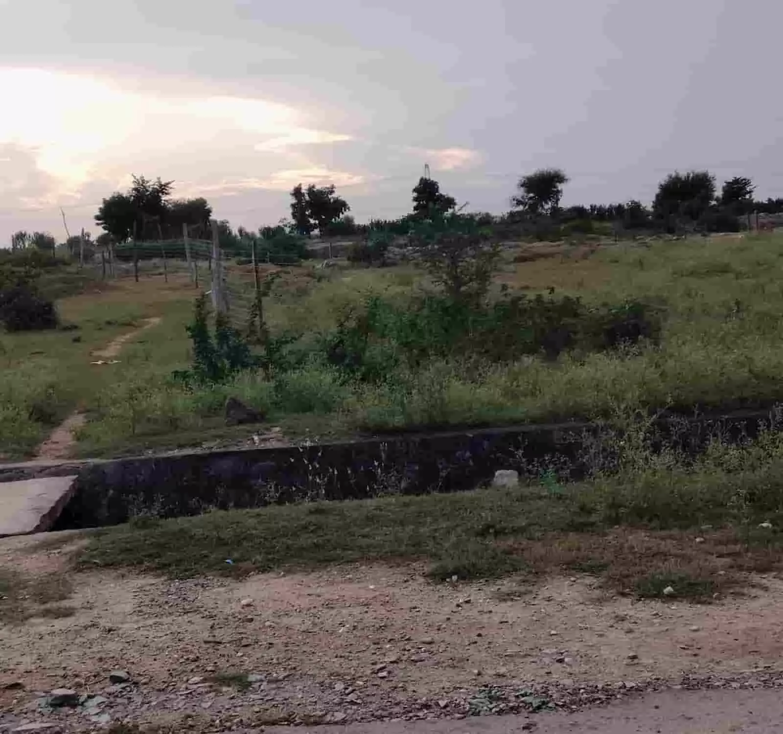 तस्वीर में दिख रही खाली सरकारी जमीन पर फेंसिंग के खंभे और तार लगे हुए हैं। तस्वीर में दिख रही खाली सरकारी जमीन पर फेंसिंग के खंभे और तार लगे हुए हैं।