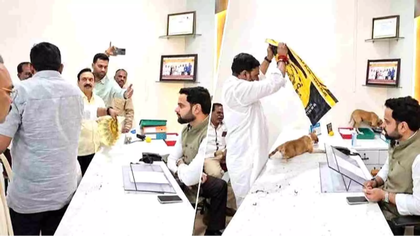 निफाड नगर पंचायत कार्यालय में आवारा कुत्तों के विरोध में बोरी से पिल्ले निकालते हुए स्थानीय लोग। निफाड नगर पंचायत कार्यालय में आवारा कुत्तों के विरोध में बोरी से पिल्ले निकालते हुए स्थानीय लोग।