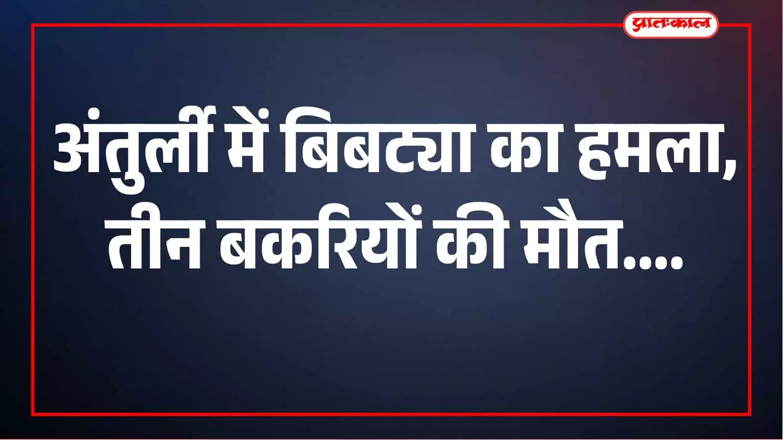 अंतुर्ली में बिबट्याचा कहर, दोपहर में तीन बकरियों पर हमला कर बनाया शिकार अंतुर्ली में बिबट्याचा कहर, दोपहर में तीन बकरियों पर हमला कर बनाया शिकार