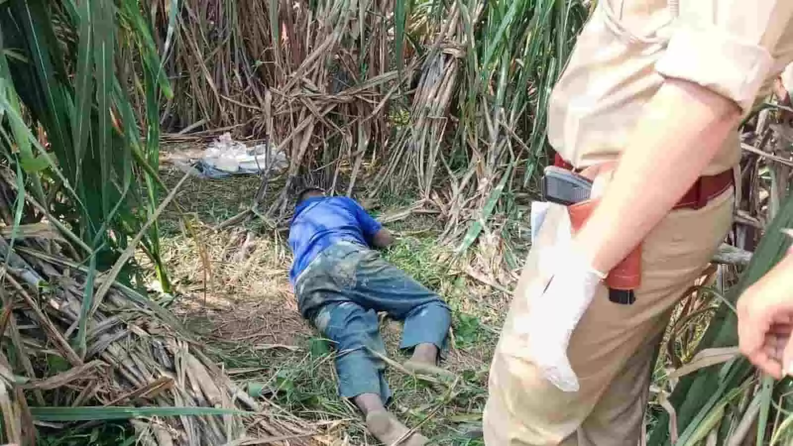 तस्वीर में दिख रही जगह गन्ने का खेत है, जहां नीली टी-शर्ट पहने एक व्यक्ति जमीन पर पड़ा है और पुलिसकर्मी जांच कर रहे हैं। तस्वीर में दिख रही जगह गन्ने का खेत है, जहां नीली टी-शर्ट पहने एक व्यक्ति जमीन पर पड़ा है और पुलिसकर्मी जांच कर रहे हैं।