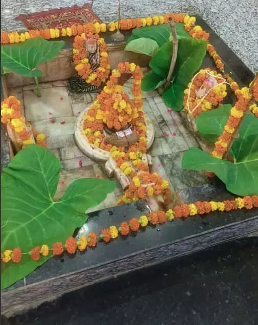 तस्वीर में मंदिर परिसर के भीतर फूलों की माला और हरे पत्तों से सजा हुआ शिवलिंग दिखाई दे रहा है। तस्वीर में मंदिर परिसर के भीतर फूलों की माला और हरे पत्तों से सजा हुआ शिवलिंग दिखाई दे रहा है।
