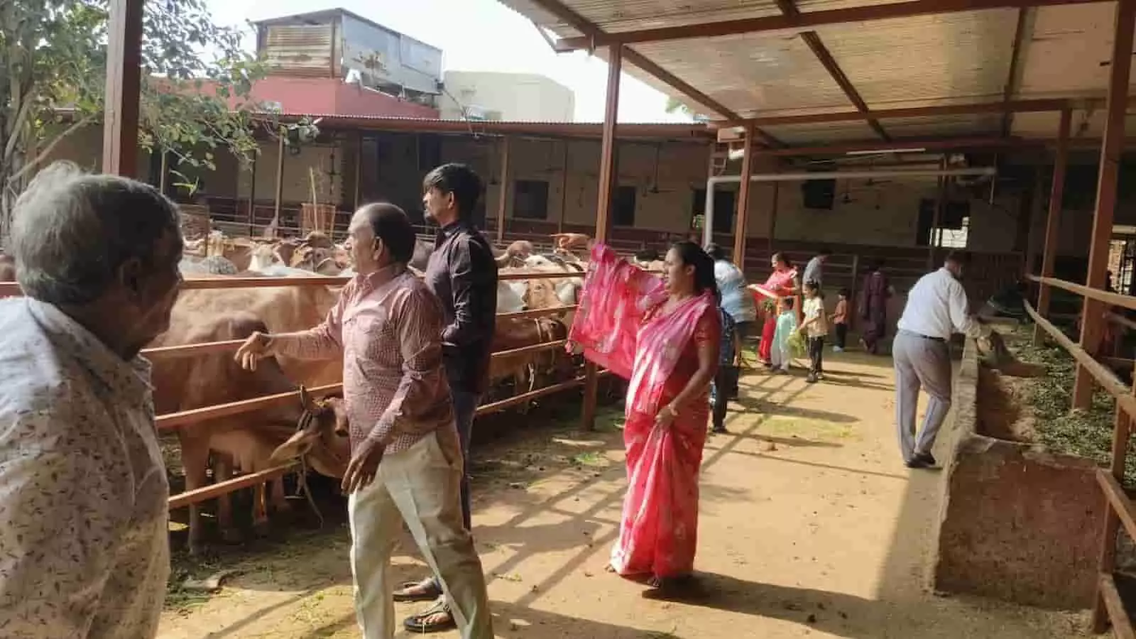 गोशाला में गोवंश की सेवा करते हुए वैश्य समाज के महिला और पुरुष। गोशाला में गोवंश की सेवा करते हुए वैश्य समाज के महिला और पुरुष।