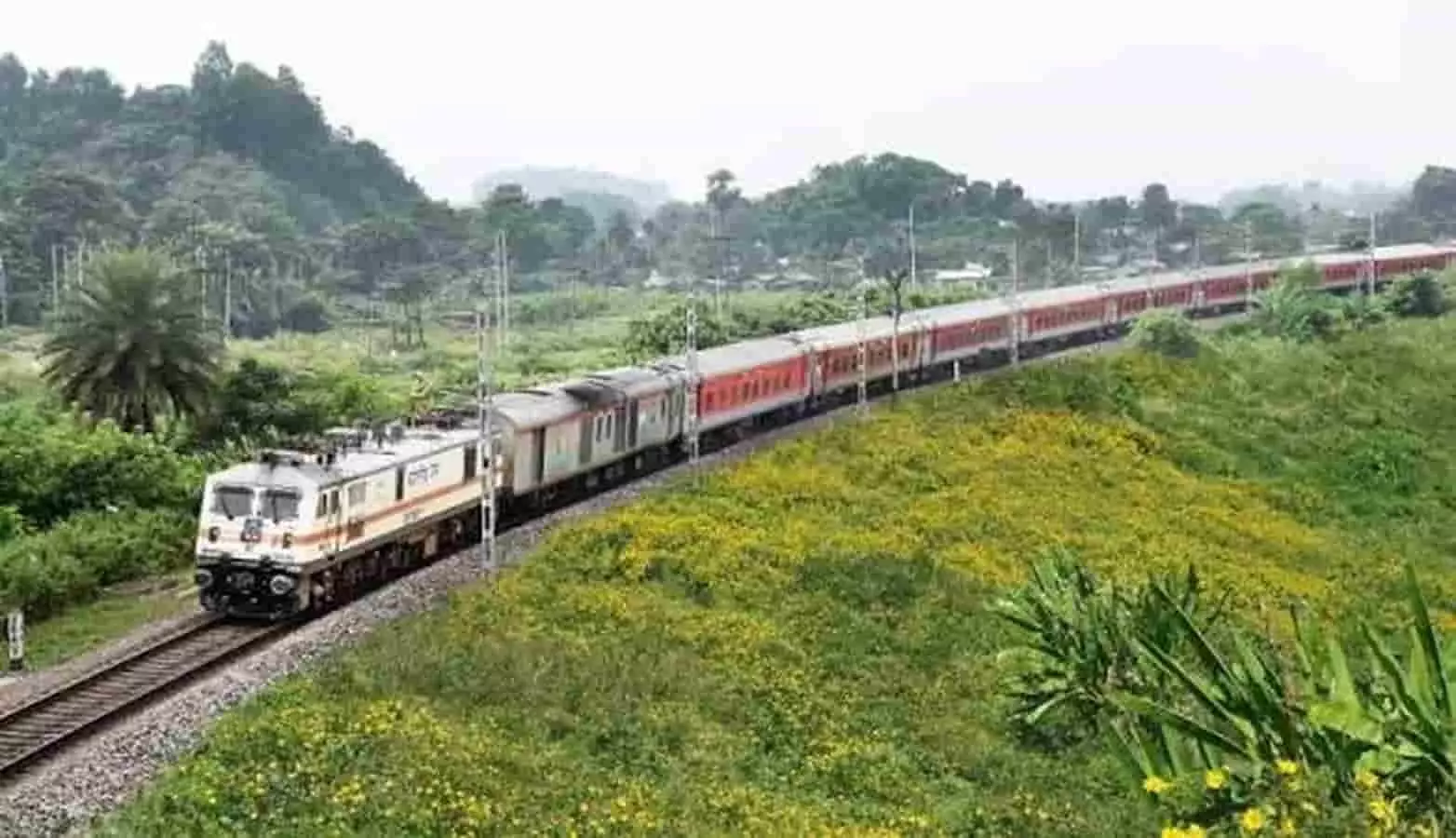 तस्वीर में हरी-भरी पहाड़ियों और पेड़ों के बीच रेल की पटरियों पर चलती हुई एक ट्रेन दिख रही है। तस्वीर में हरी-भरी पहाड़ियों और पेड़ों के बीच रेल की पटरियों पर चलती हुई एक ट्रेन दिख रही है।