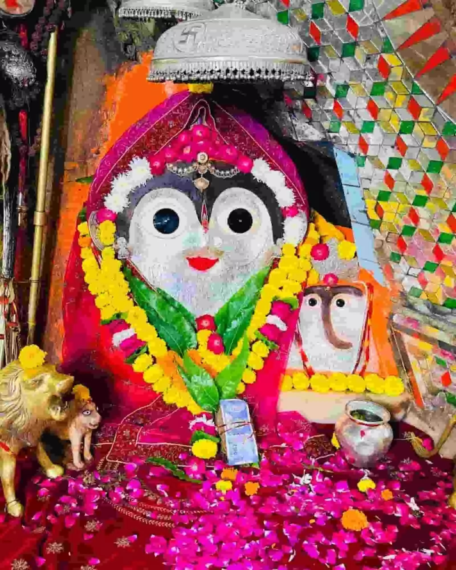 तस्वीर में दिख रही बिजासन माता की मूर्ति पर पीले फूलों की माला और लाल पंखुड़ियां रखी हैं। तस्वीर में दिख रही बिजासन माता की मूर्ति पर पीले फूलों की माला और लाल पंखुड़ियां रखी हैं।