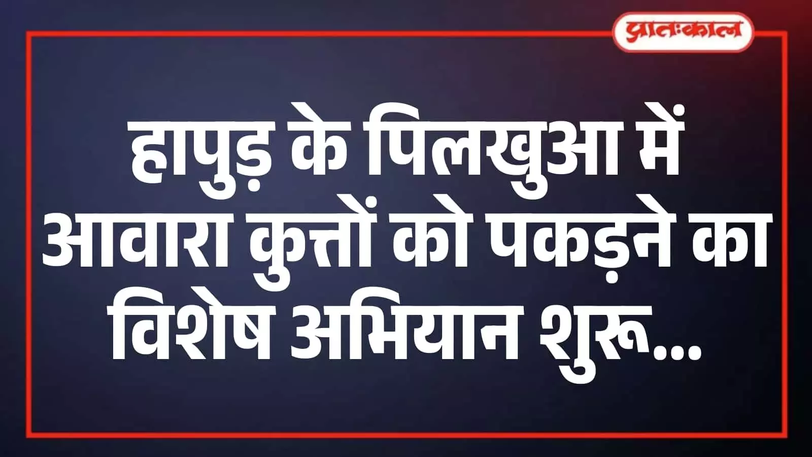 हापुड़ के पिलखुआ में आवारा कुत्तों को पकड़ने का विशेष अभियान शुरू हापुड़ के पिलखुआ में आवारा कुत्तों को पकड़ने का विशेष अभियान शुरू