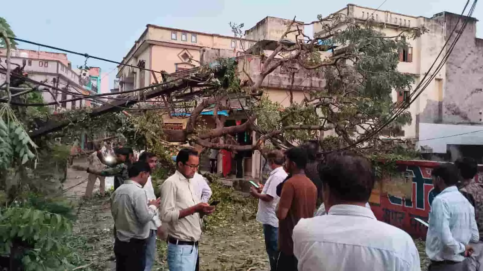 तस्वीर में सलूम्बर में बिजली के तारों पर गिरा पेड़ और खड़े हुए लोग दिख रहे हैं। तस्वीर में सलूम्बर में बिजली के तारों पर गिरा पेड़ और खड़े हुए लोग दिख रहे हैं।