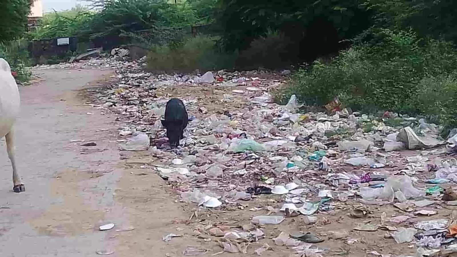 इंदरगढ़ बिजासन माता मंदिर मार्ग पर सड़क के पास भारी मात्रा में पड़ा कचरा। इंदरगढ़ बिजासन माता मंदिर मार्ग पर सड़क के पास भारी मात्रा में पड़ा कचरा।
